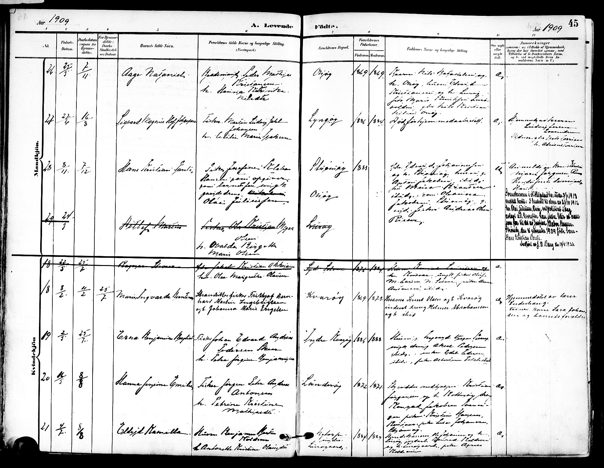Ministerialprotokoller, klokkerbøker og fødselsregistre - Nordland, AV/SAT-A-1459/839/L0569: Ministerialbok nr. 839A06, 1903-1922, s. 45