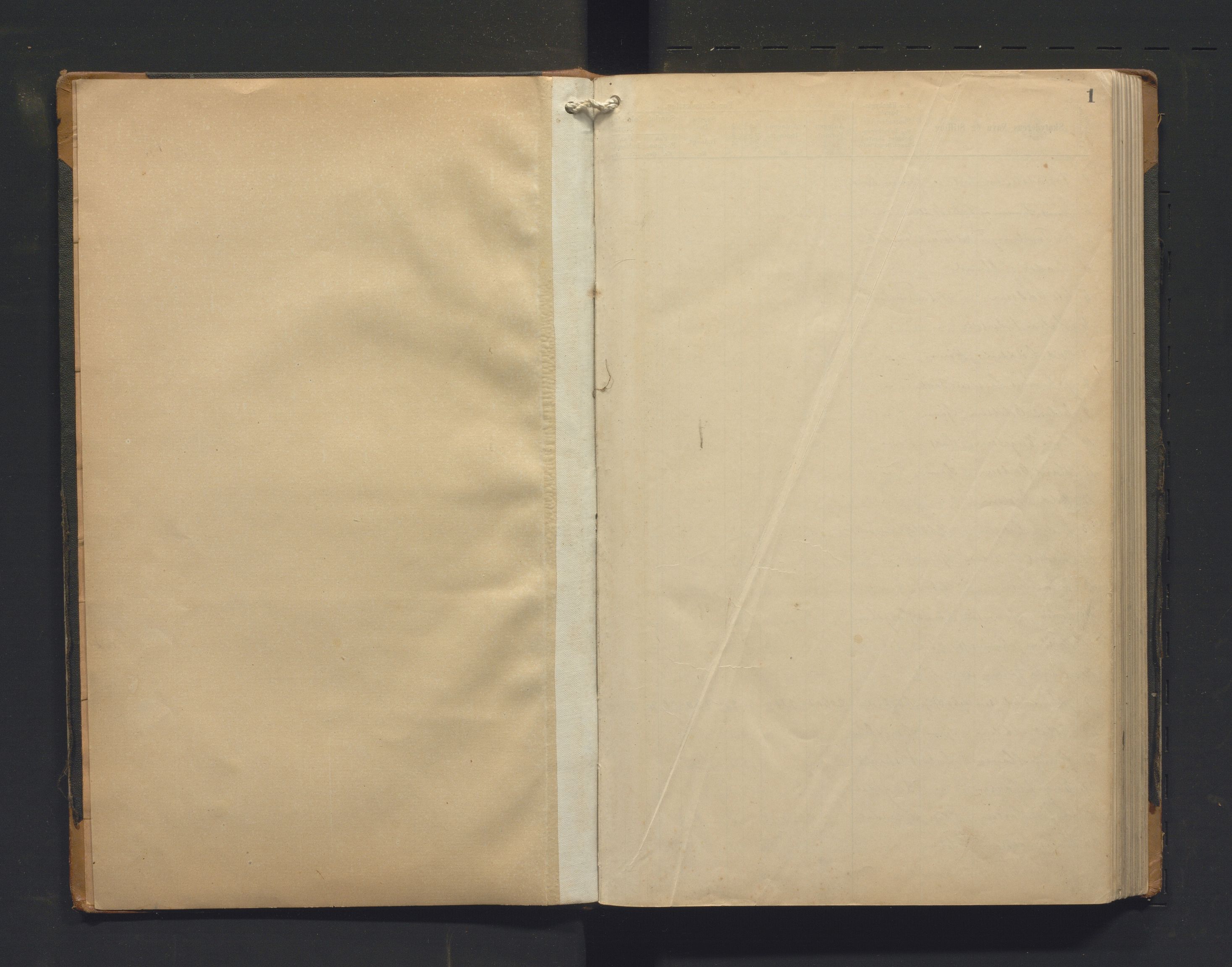 Varaldsøy kommune. Likningsnemnda, IKAH/1225-142/F/Fa/L0002: Likningsprotokoll, heradsskatt og statsskatt, 1901-1911