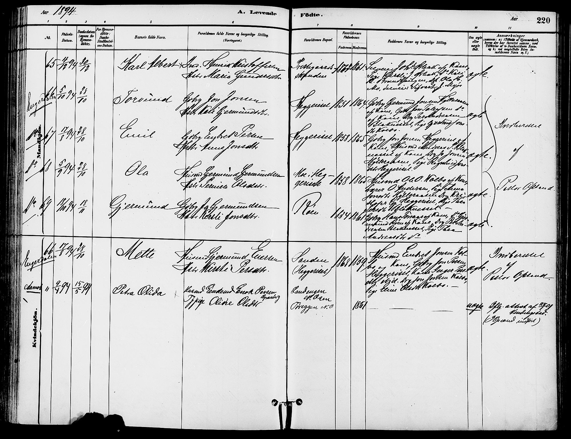 Trysil prestekontor, SAH/PREST-046/H/Ha/Haa/L0008: Ministerialbok nr. 8, 1881-1897, s. 220