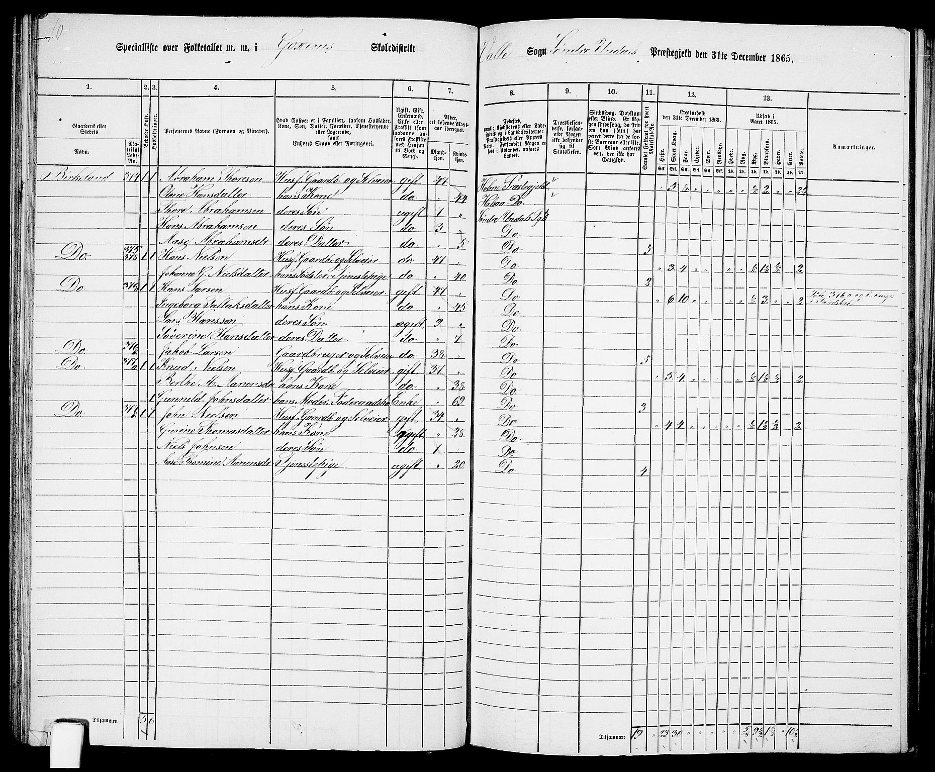 RA, Folketelling 1865 for 1029P Sør-Audnedal prestegjeld, 1865, s. 52