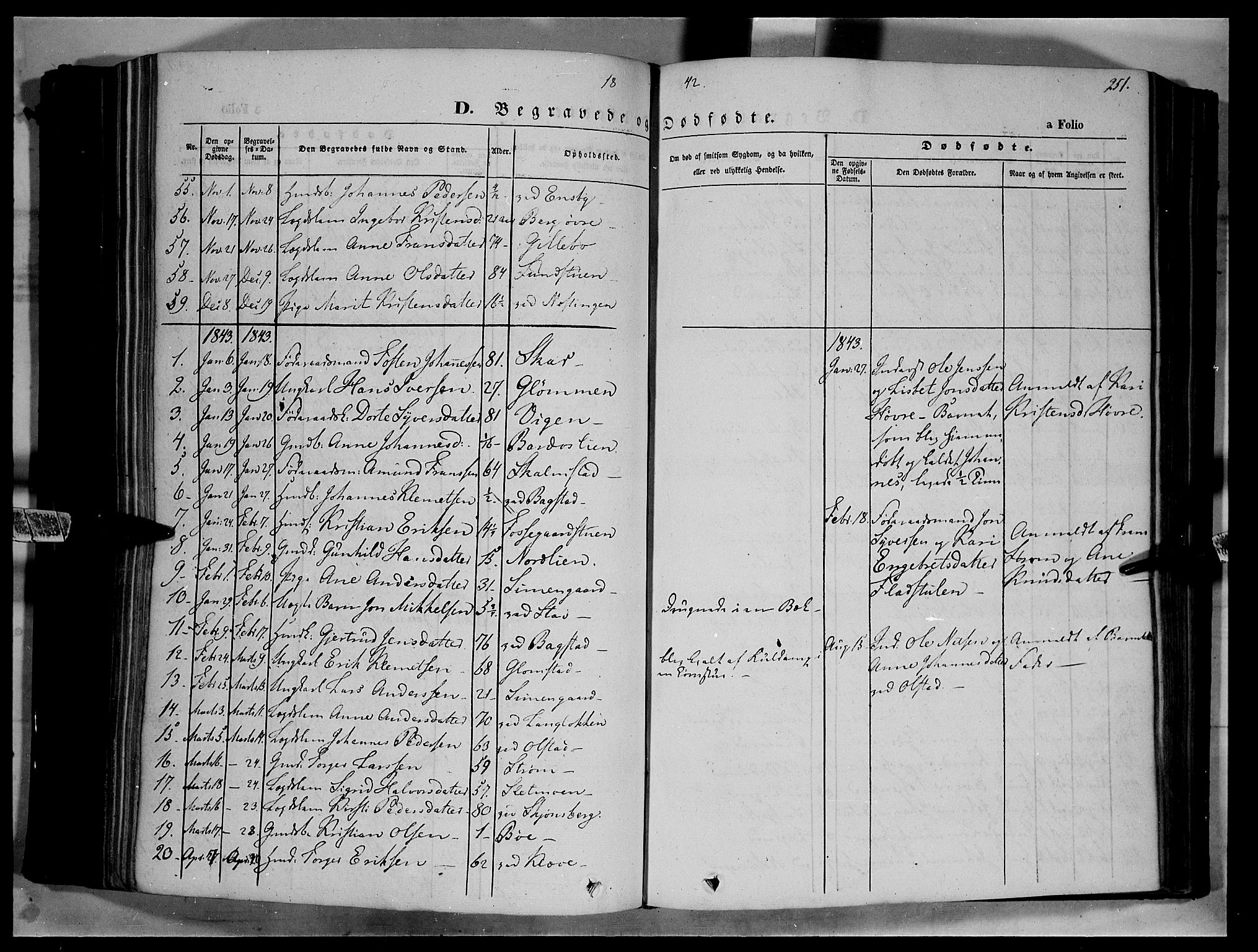 Øyer prestekontor, AV/SAH-PREST-084/H/Ha/Haa/L0005: Ministerialbok nr. 5, 1842-1857, s. 251