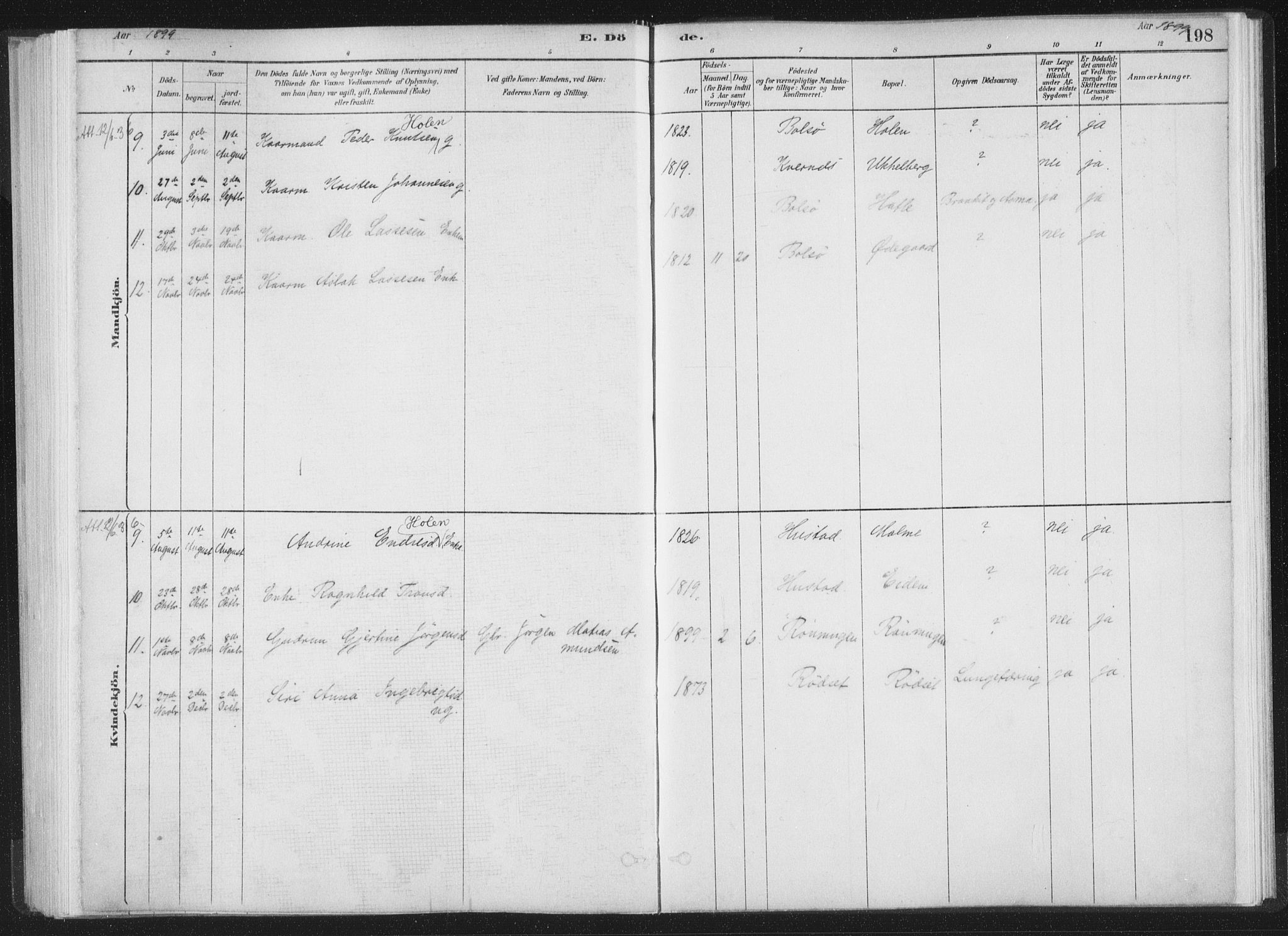 Ministerialprotokoller, klokkerbøker og fødselsregistre - Møre og Romsdal, AV/SAT-A-1454/564/L0740: Ministerialbok nr. 564A01, 1880-1899, s. 198