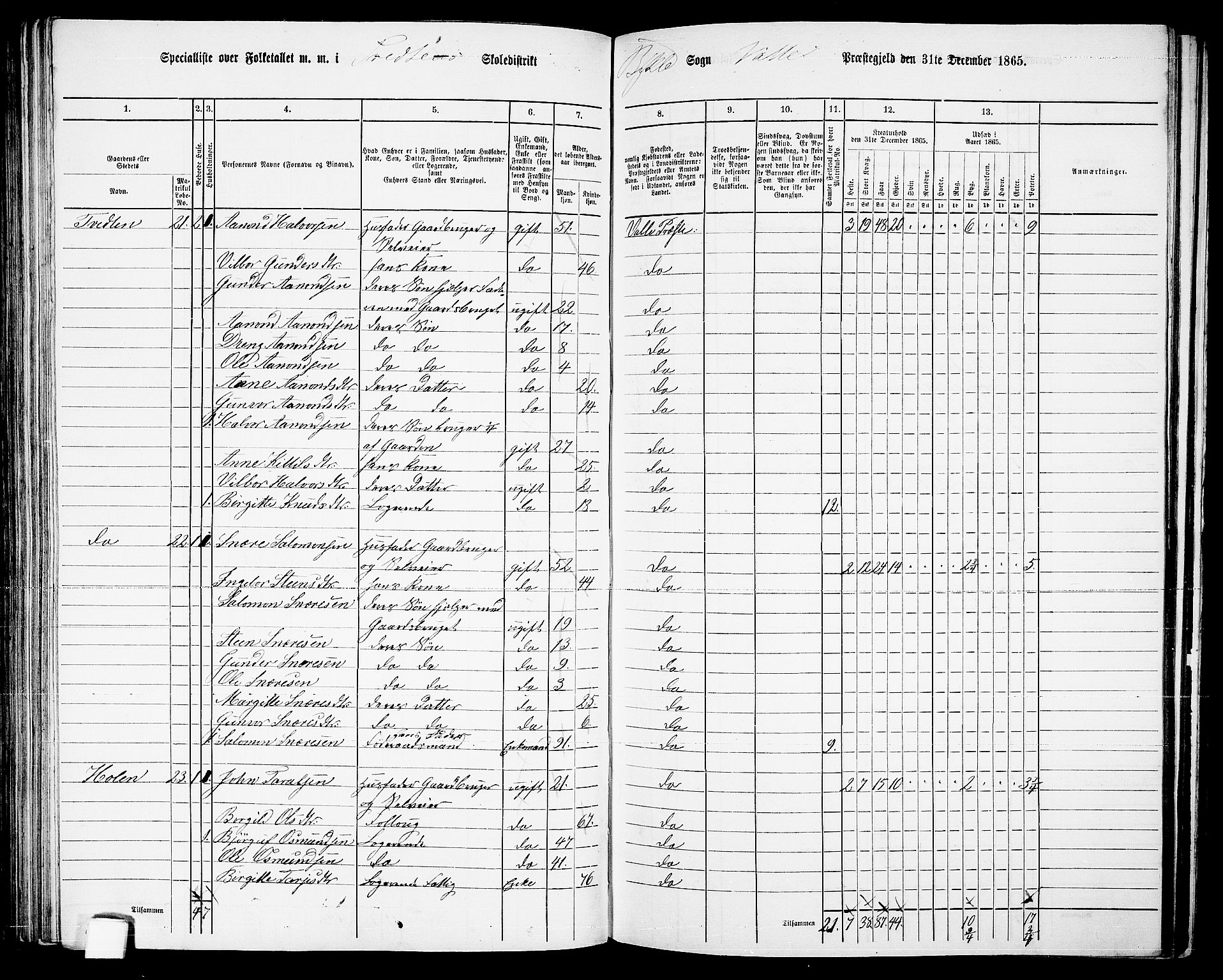 RA, Folketelling 1865 for 0940P Valle prestegjeld, 1865, s. 95