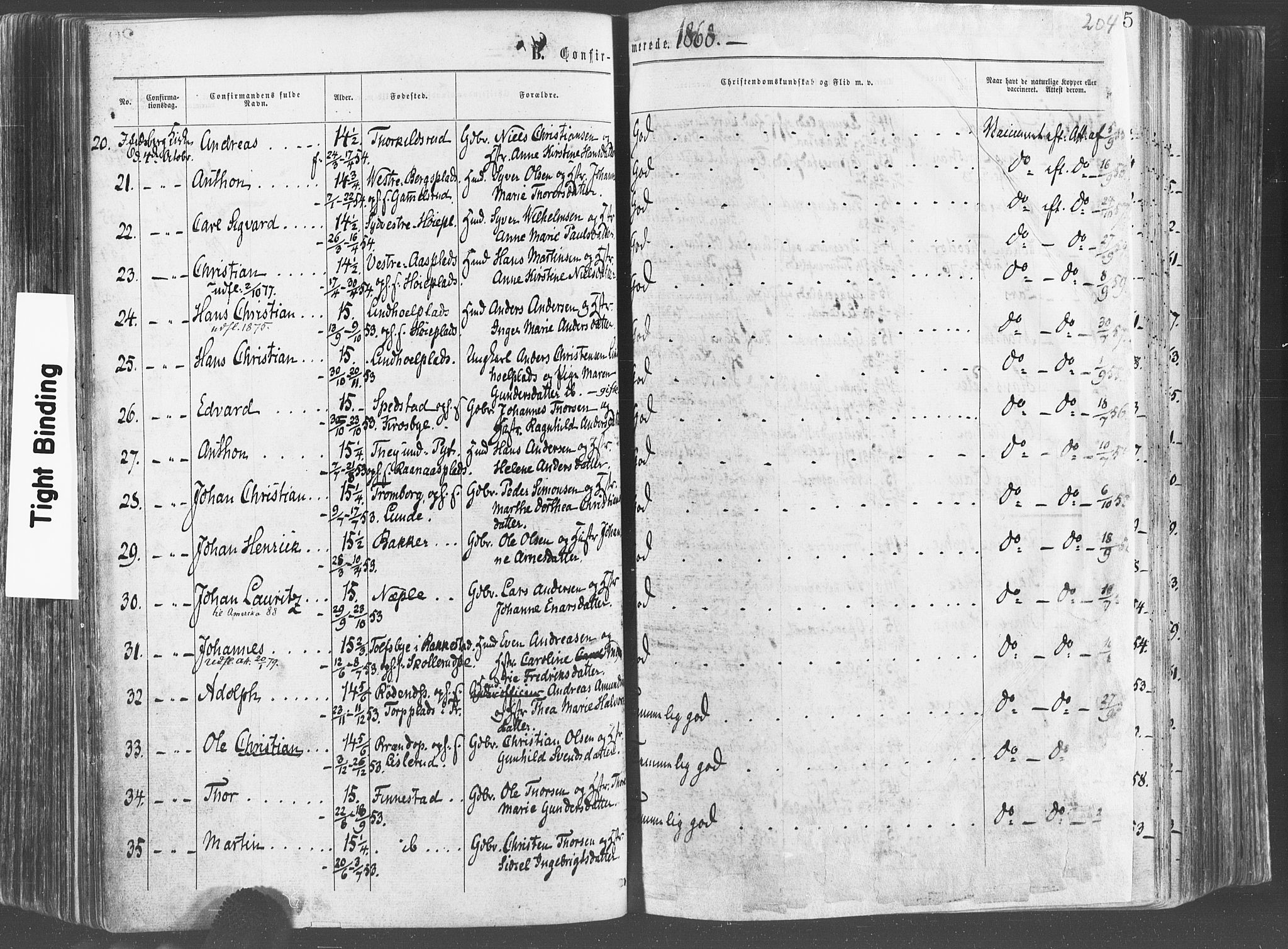 Eidsberg prestekontor Kirkebøker, AV/SAO-A-10905/F/Fa/L0011: Ministerialbok nr. I 11, 1867-1878, s. 204