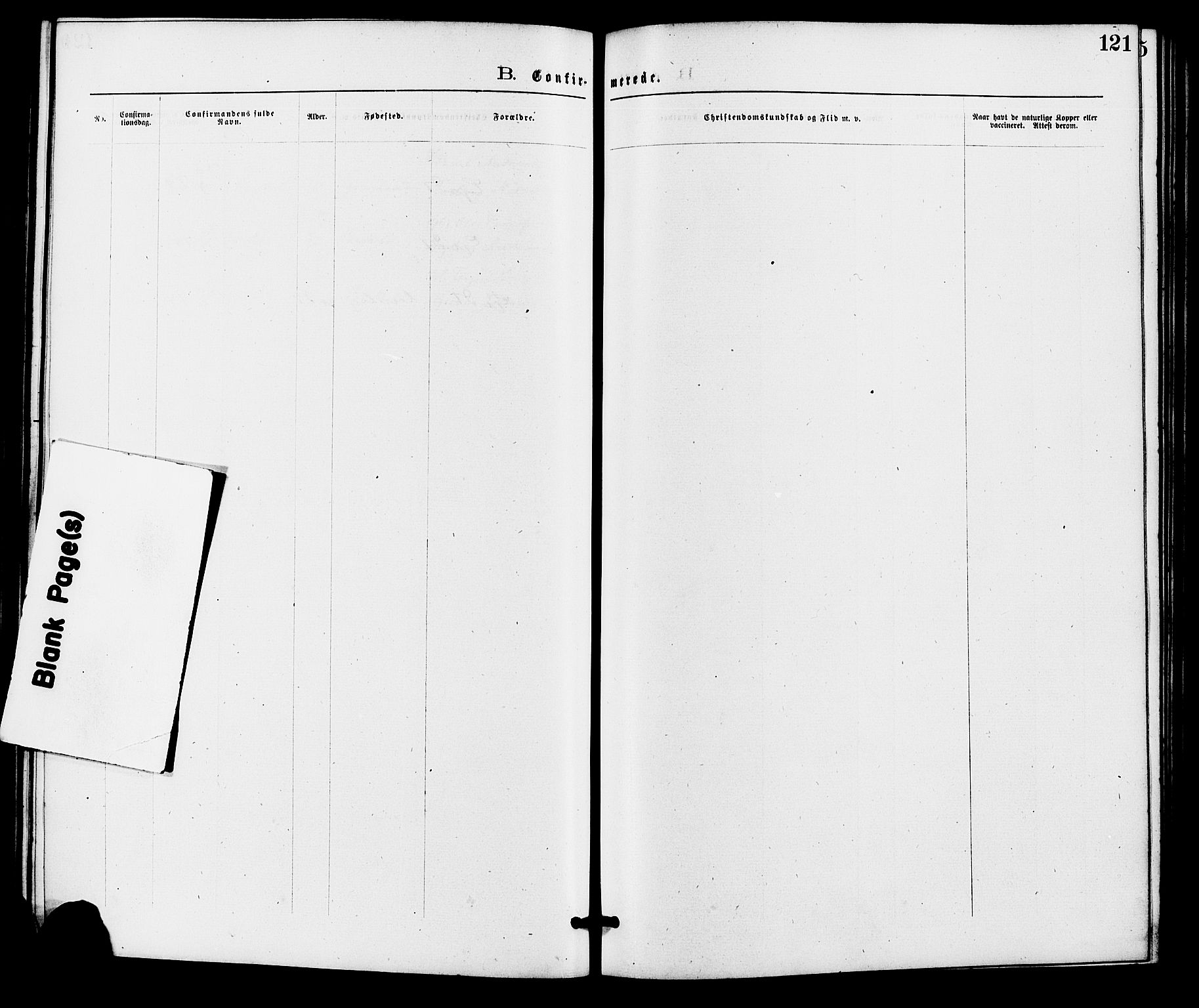 Holum sokneprestkontor, AV/SAK-1111-0022/F/Fa/Fab/L0006: Ministerialbok nr. A 6, 1875-1886, s. 121