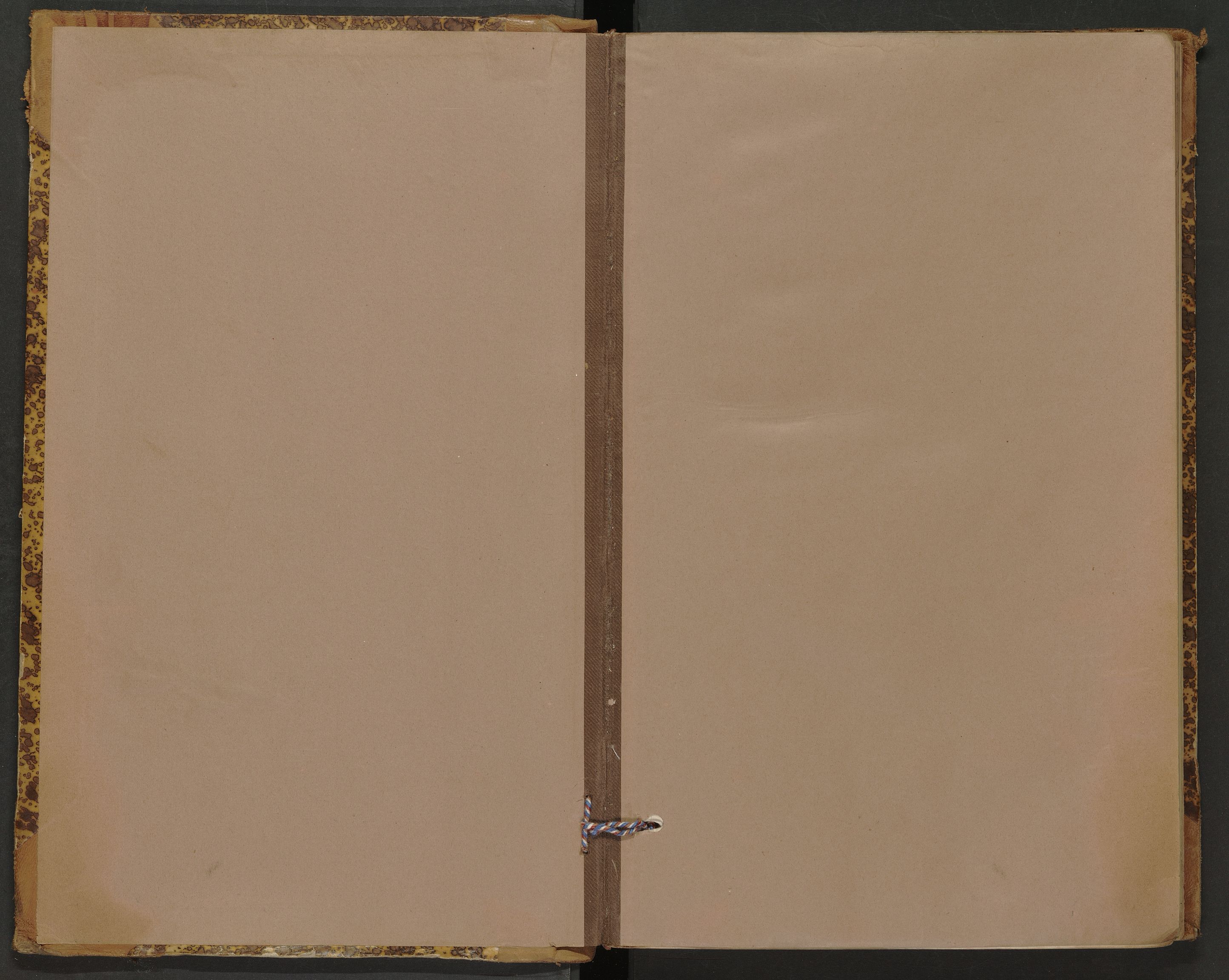 Sannidal lensmannskontor, AV/SAKO-A-569/Y/Yc/Ycb/L0001: Skjematakstprotokoll, 1894-1899