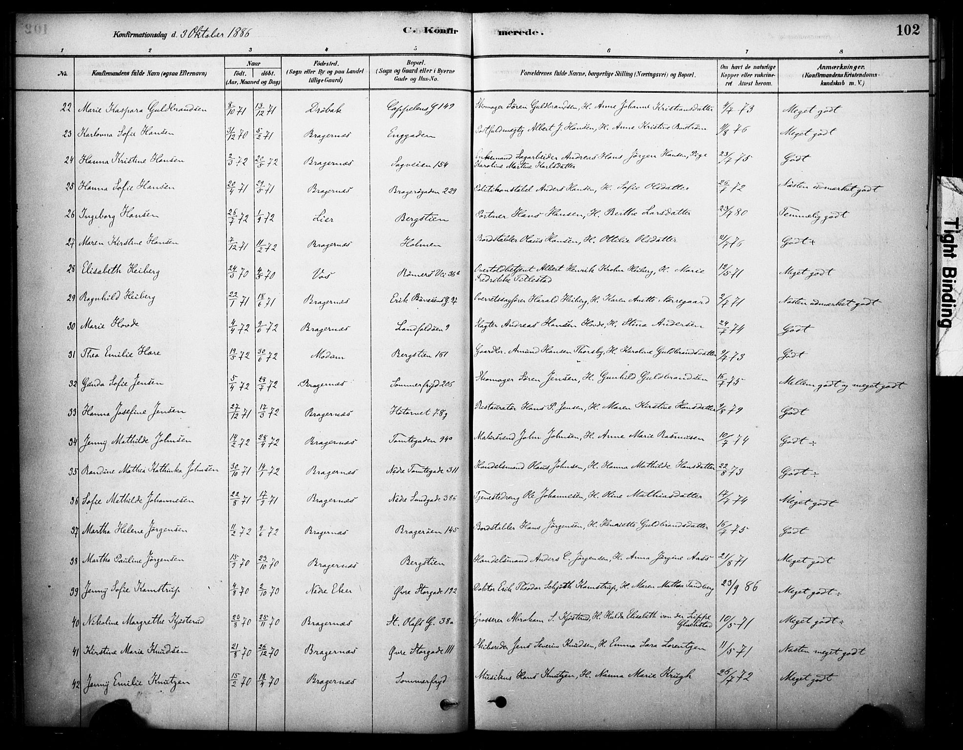 Bragernes kirkebøker, AV/SAKO-A-6/F/Fc/L0005: Ministerialbok nr. III 5, 1878-1890, s. 102