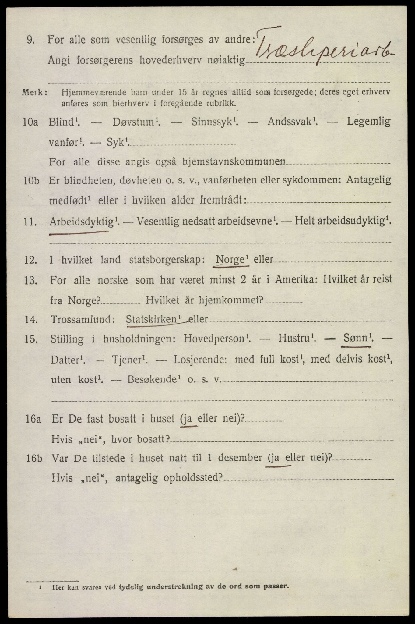 SAKO, Folketelling 1920 for 0815 Skåtøy herred, 1920, s. 6831