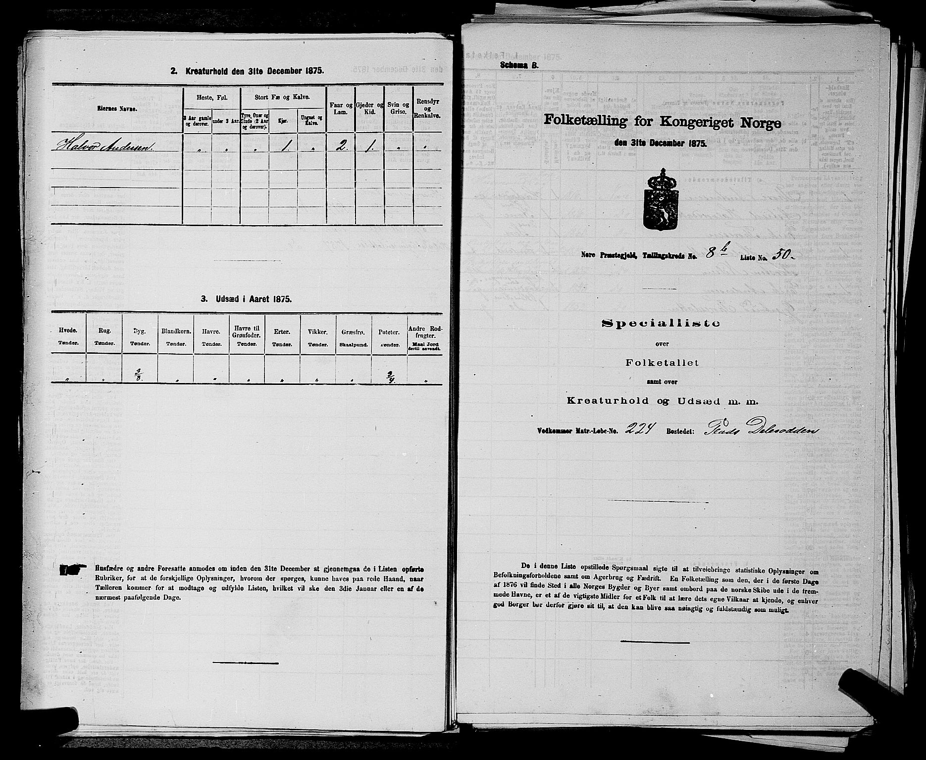 SAKO, Folketelling 1875 for 0633P Nore prestegjeld, 1875, s. 1038