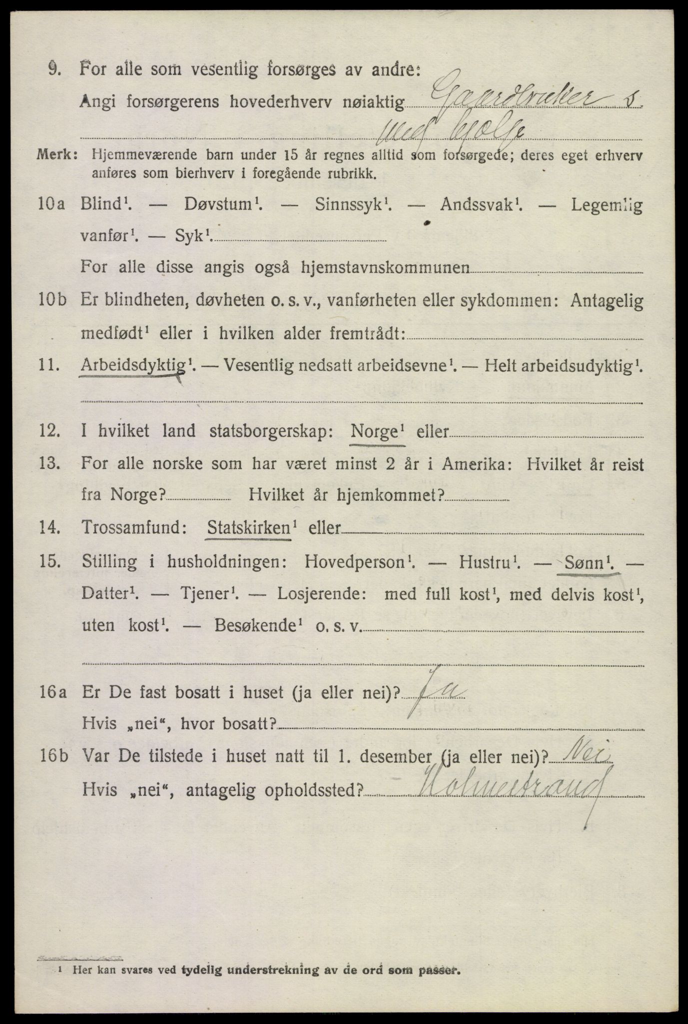 SAKO, Folketelling 1920 for 0716 Våle herred, 1920, s. 1243