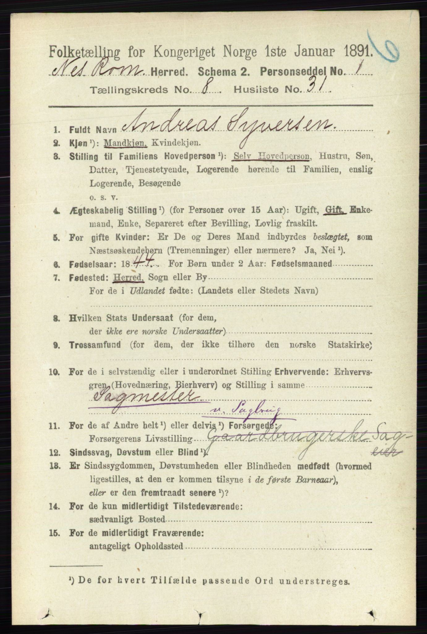 RA, Folketelling 1891 for 0236 Nes herred, 1891, s. 4778