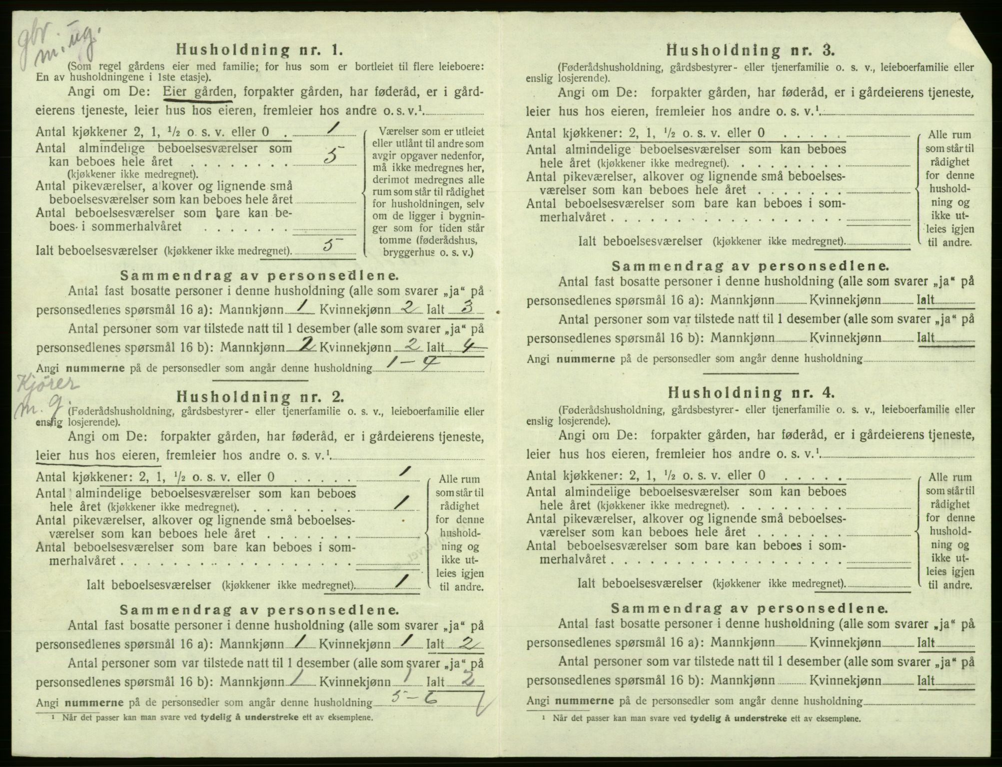 SAB, Folketelling 1920 for 1232 Eidfjord herred, 1920, s. 206