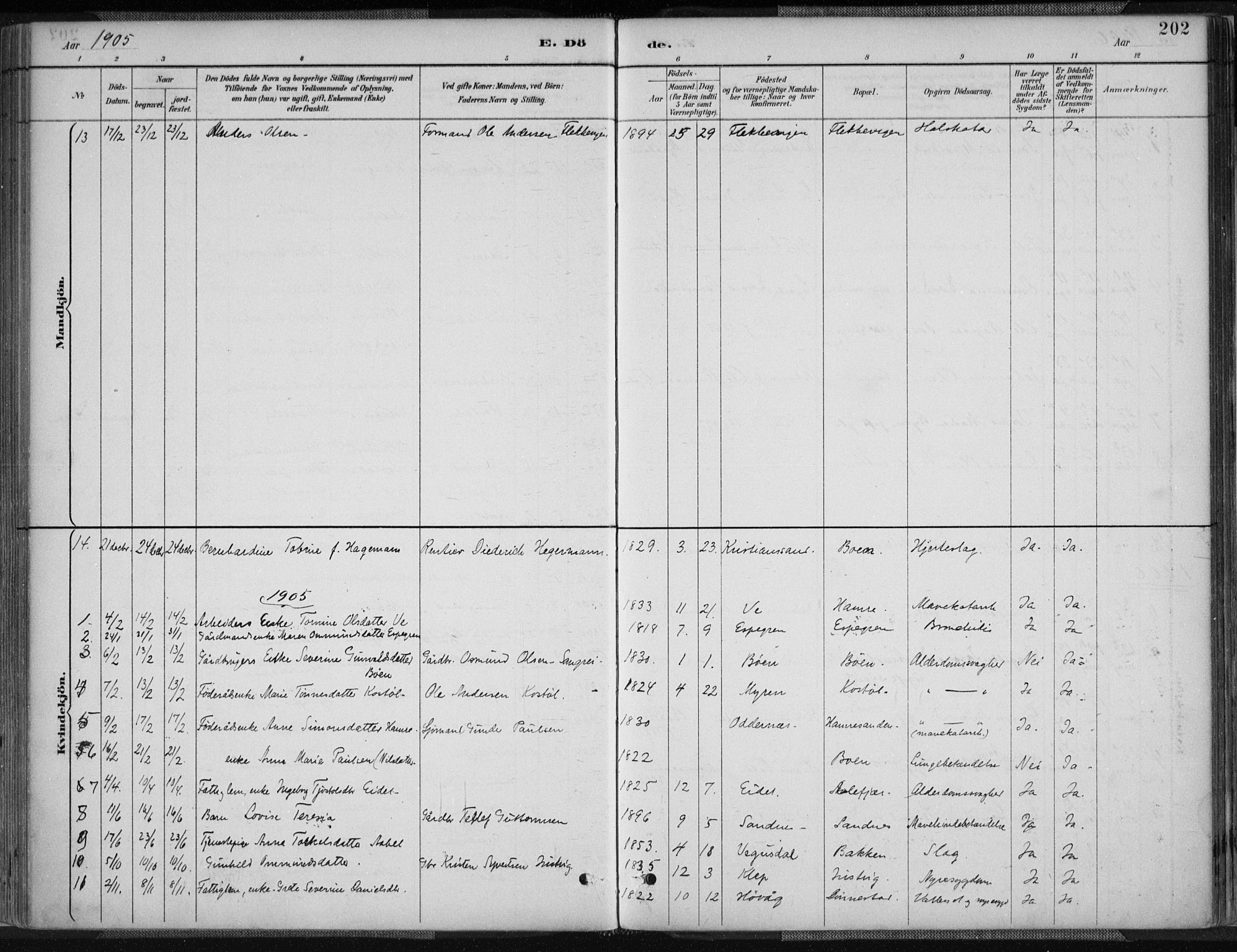 Tveit sokneprestkontor, AV/SAK-1111-0043/F/Fa/L0007: Ministerialbok nr. A 7, 1887-1908, s. 202