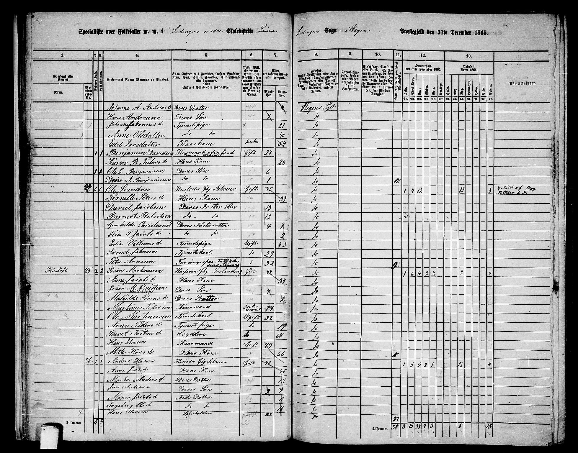 RA, Folketelling 1865 for 1848P Steigen prestegjeld, 1865, s. 18