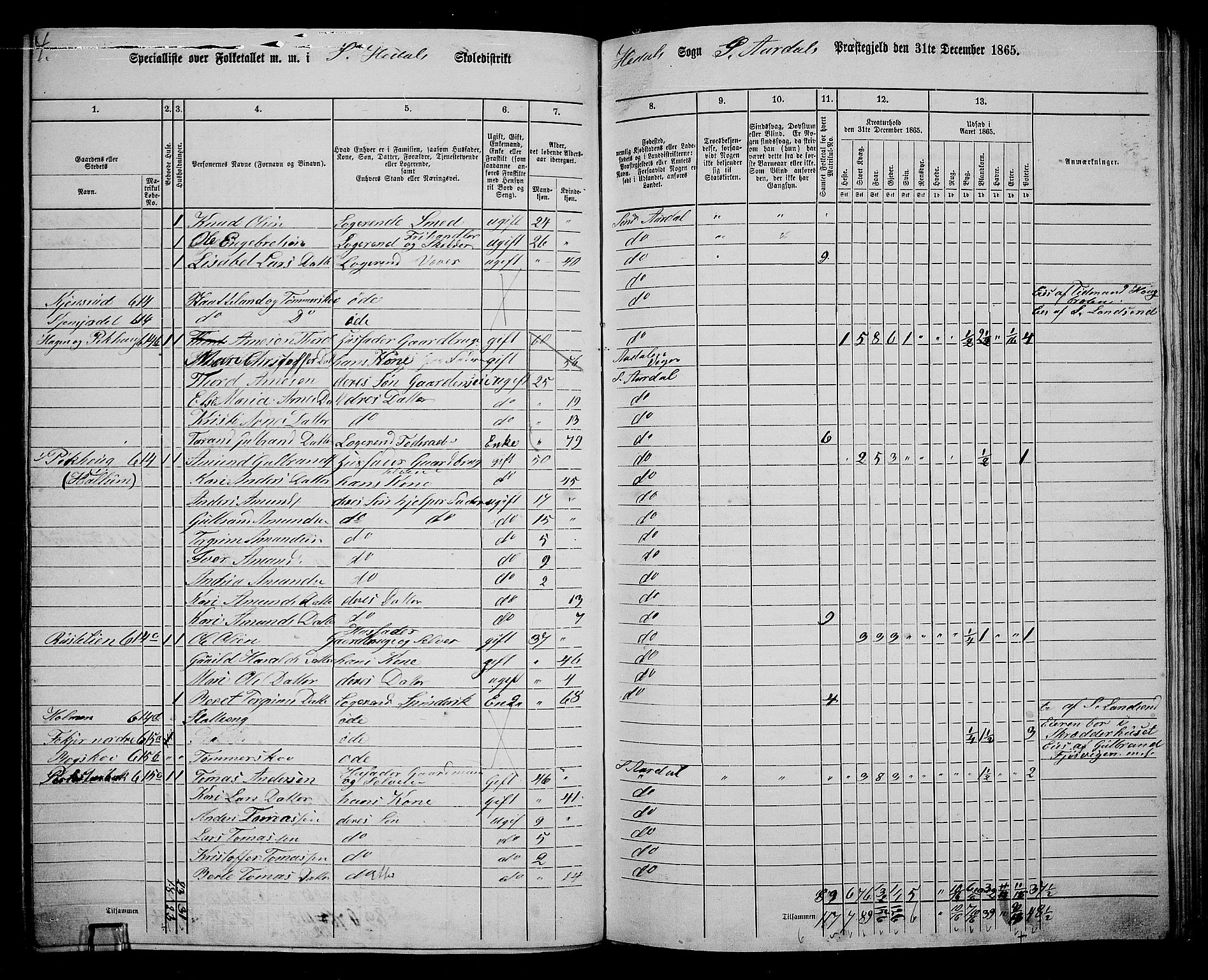 RA, Folketelling 1865 for 0540P Sør-Aurdal prestegjeld, 1865, s. 171