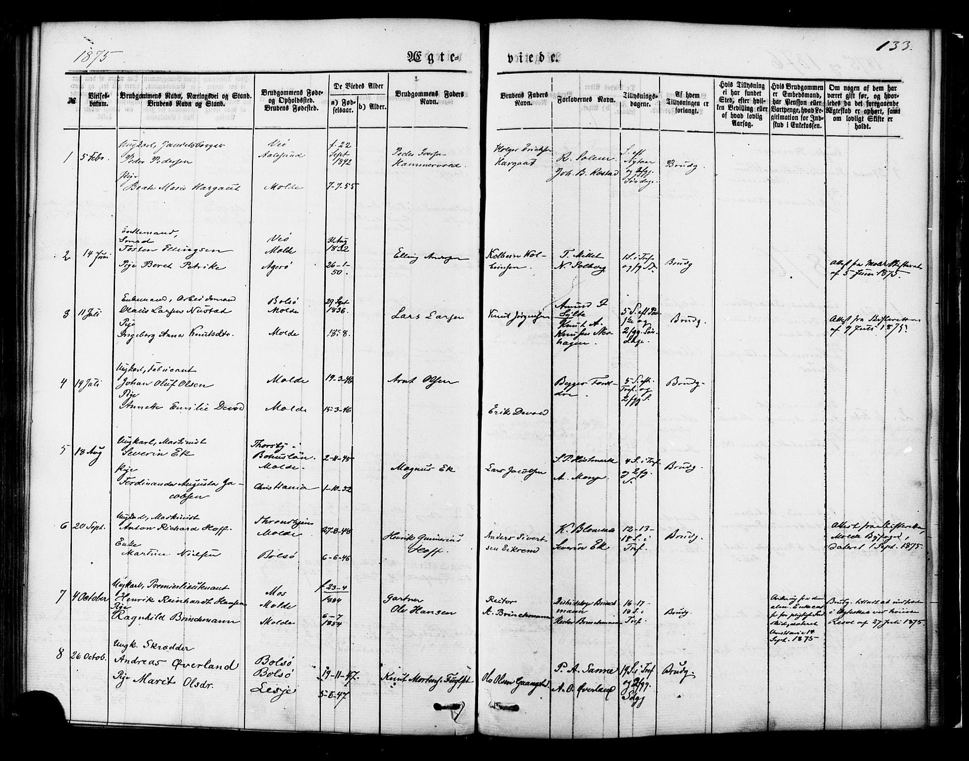Ministerialprotokoller, klokkerbøker og fødselsregistre - Møre og Romsdal, SAT/A-1454/558/L0691: Ministerialbok nr. 558A05, 1873-1886, s. 133