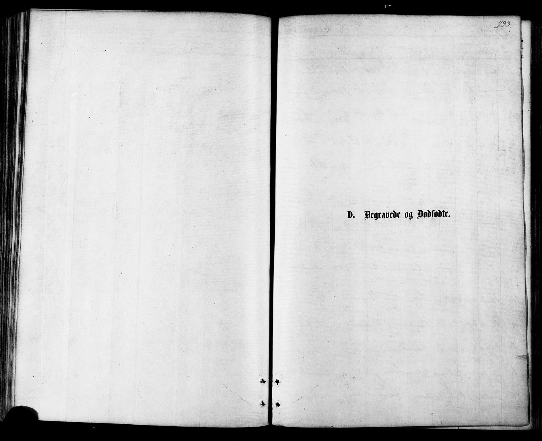 Ministerialprotokoller, klokkerbøker og fødselsregistre - Nordland, AV/SAT-A-1459/855/L0802: Ministerialbok nr. 855A10, 1875-1886, s. 233