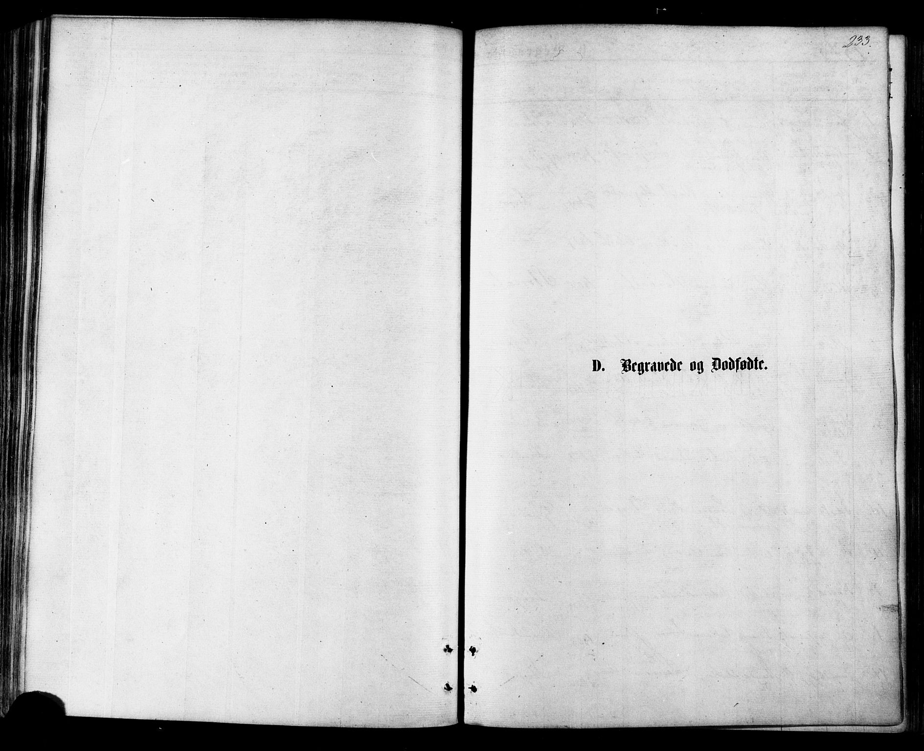 Ministerialprotokoller, klokkerbøker og fødselsregistre - Nordland, SAT/A-1459/855/L0802: Ministerialbok nr. 855A10, 1875-1886, s. 233