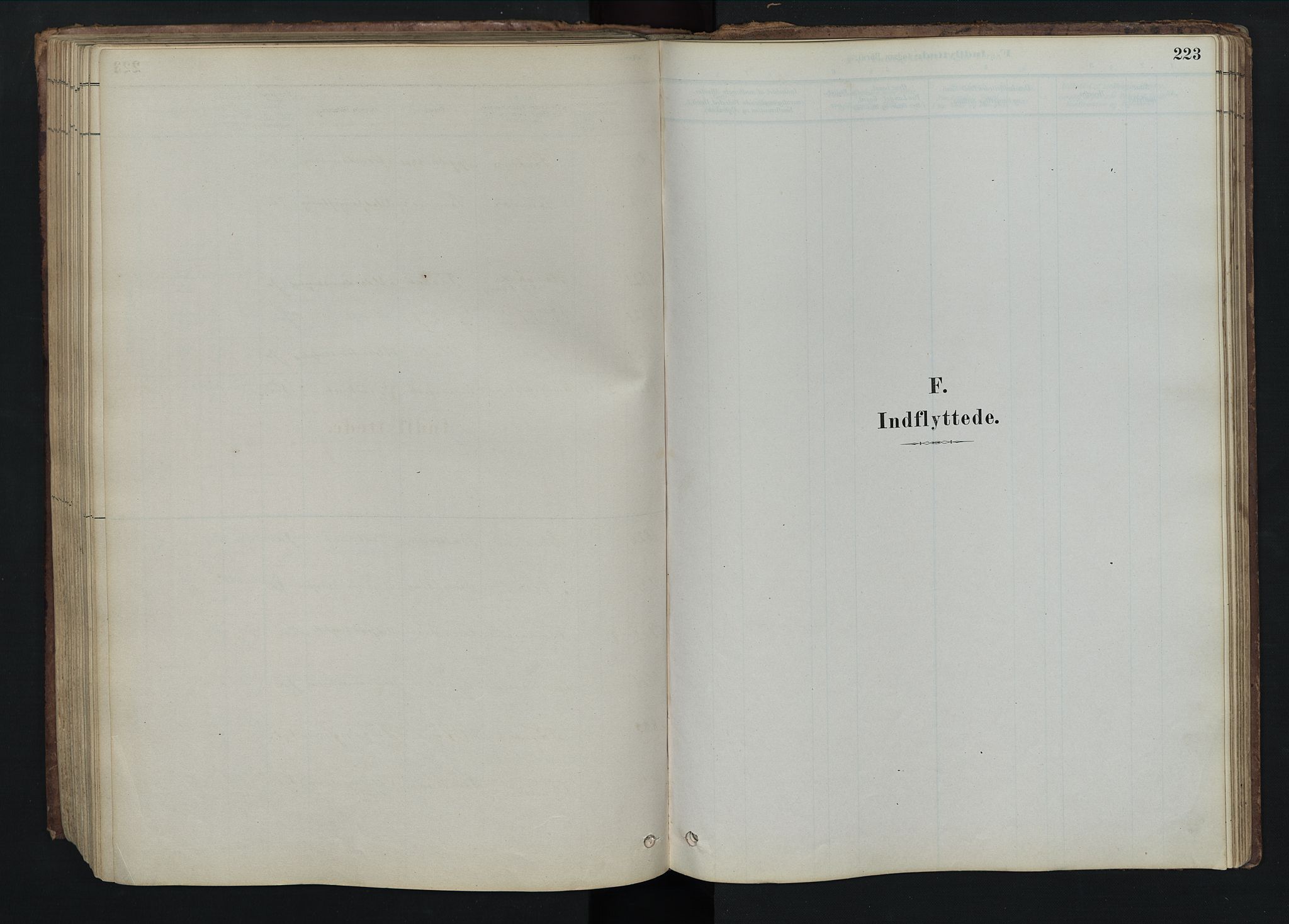 Rendalen prestekontor, SAH/PREST-054/H/Ha/Hab/L0009: Klokkerbok nr. 9, 1879-1902, s. 223
