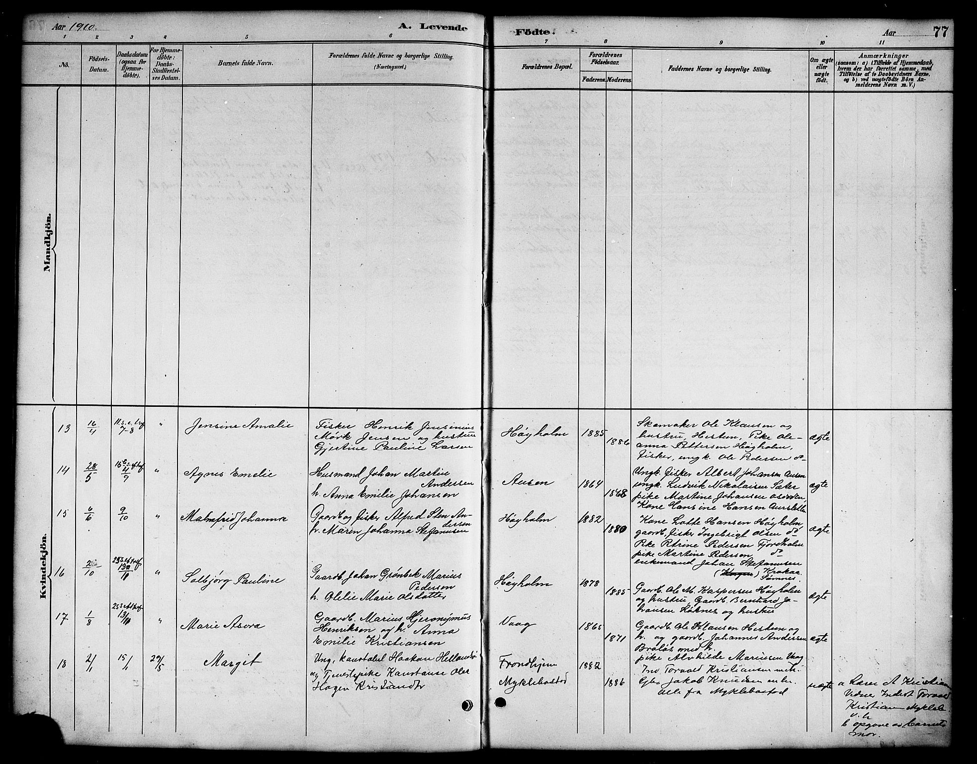 Ministerialprotokoller, klokkerbøker og fødselsregistre - Nordland, SAT/A-1459/819/L0277: Klokkerbok nr. 819C03, 1888-1917, s. 77