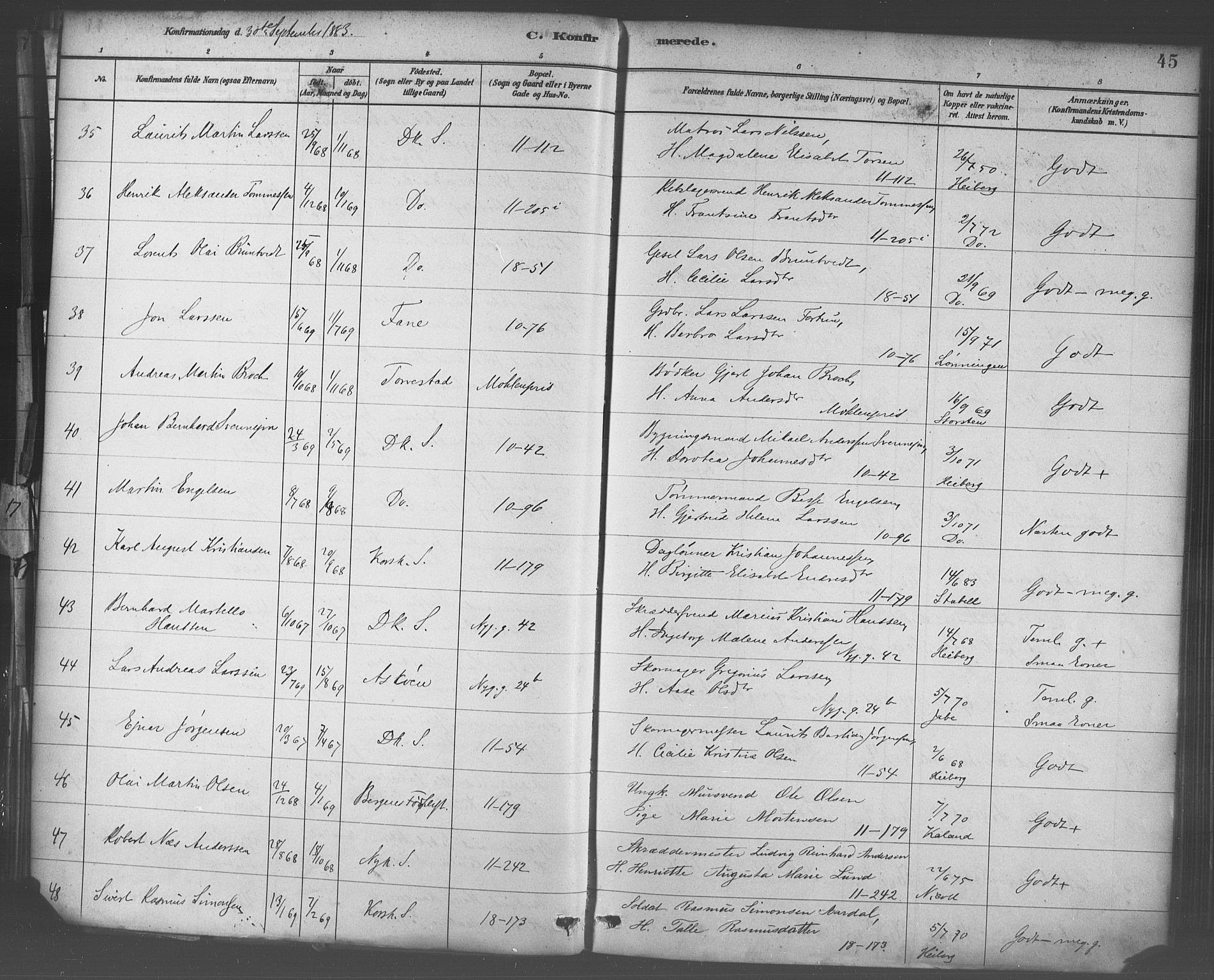 Domkirken sokneprestembete, AV/SAB-A-74801/H/Haa/L0030: Ministerialbok nr. C 5, 1880-1898, s. 45