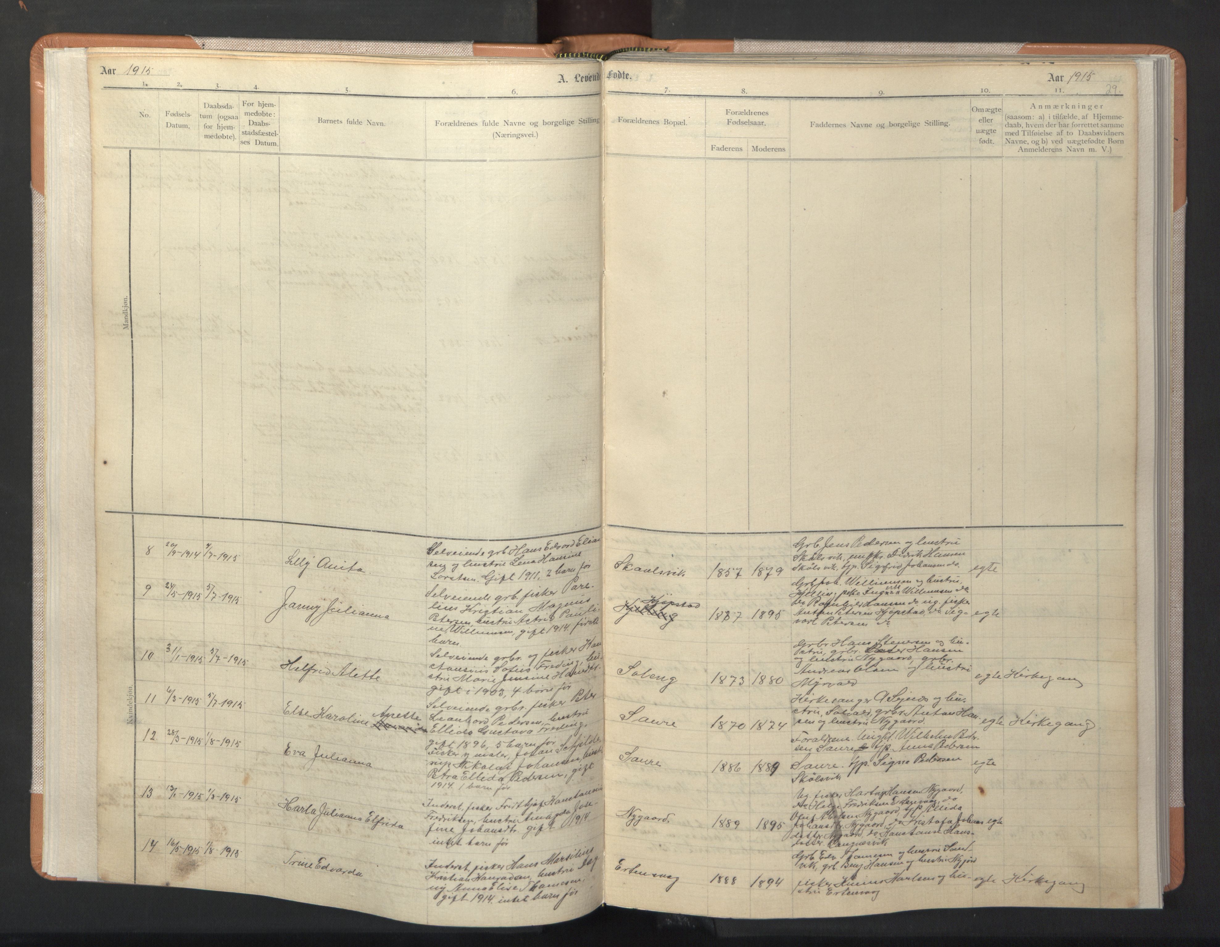 Ministerialprotokoller, klokkerbøker og fødselsregistre - Nordland, AV/SAT-A-1459/806/L0117: Klokkerbok nr. 806C01, 1905-1957, s. 29