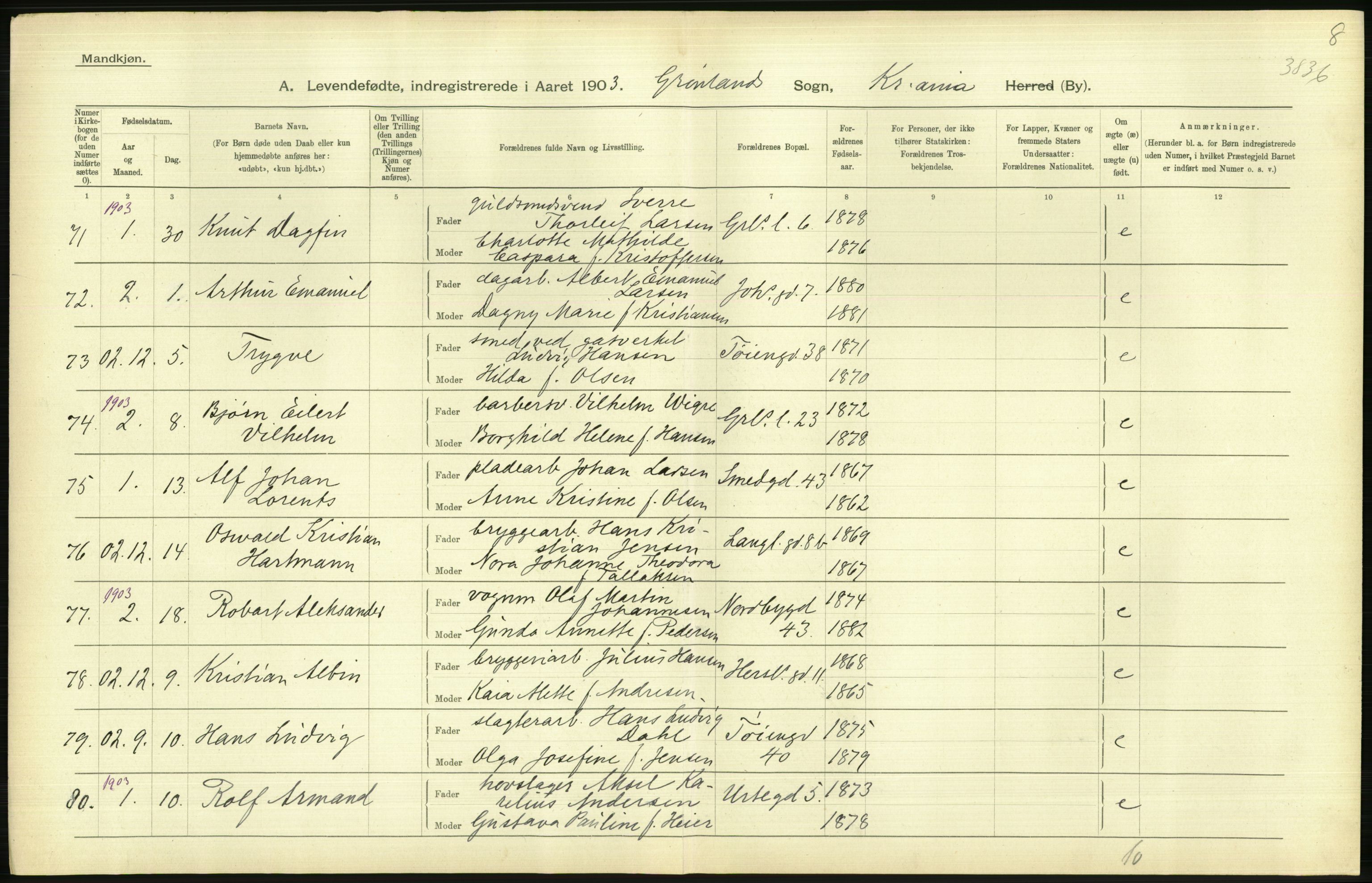 Statistisk sentralbyrå, Sosiodemografiske emner, Befolkning, AV/RA-S-2228/D/Df/Dfa/Dfaa/L0003: Kristiania: Fødte, 1903, s. 618