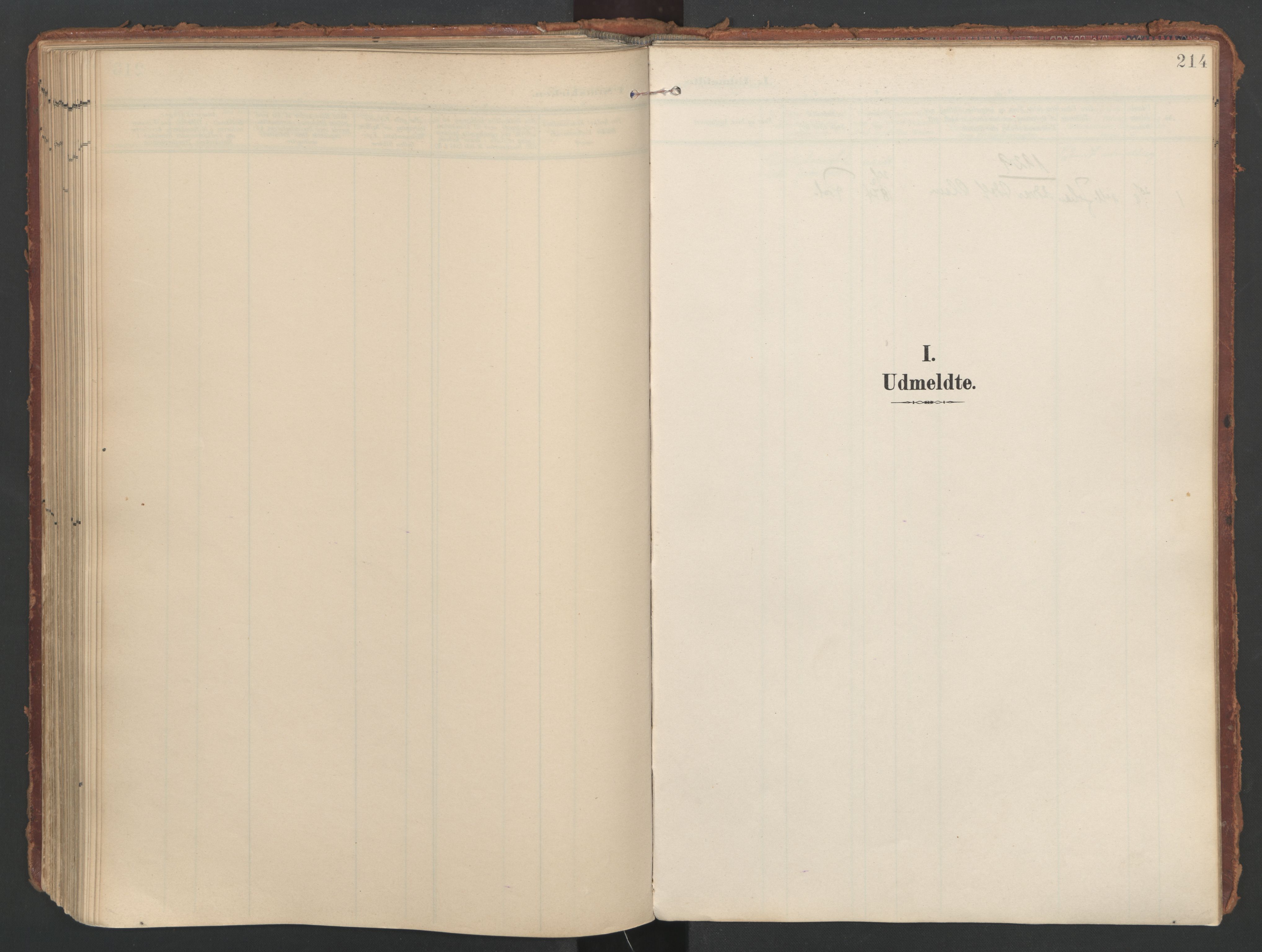 Ministerialprotokoller, klokkerbøker og fødselsregistre - Nordland, AV/SAT-A-1459/808/L0129: Ministerialbok nr. 808A02, 1903-1931, s. 214