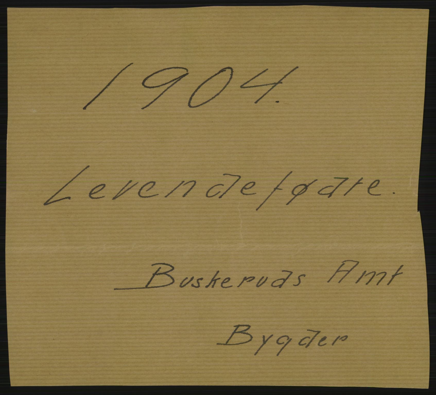 Statistisk sentralbyrå, Sosiodemografiske emner, Befolkning, AV/RA-S-2228/D/Df/Dfa/Dfab/L0007: Buskerud amt: Fødte, gifte, døde, 1904, s. 1