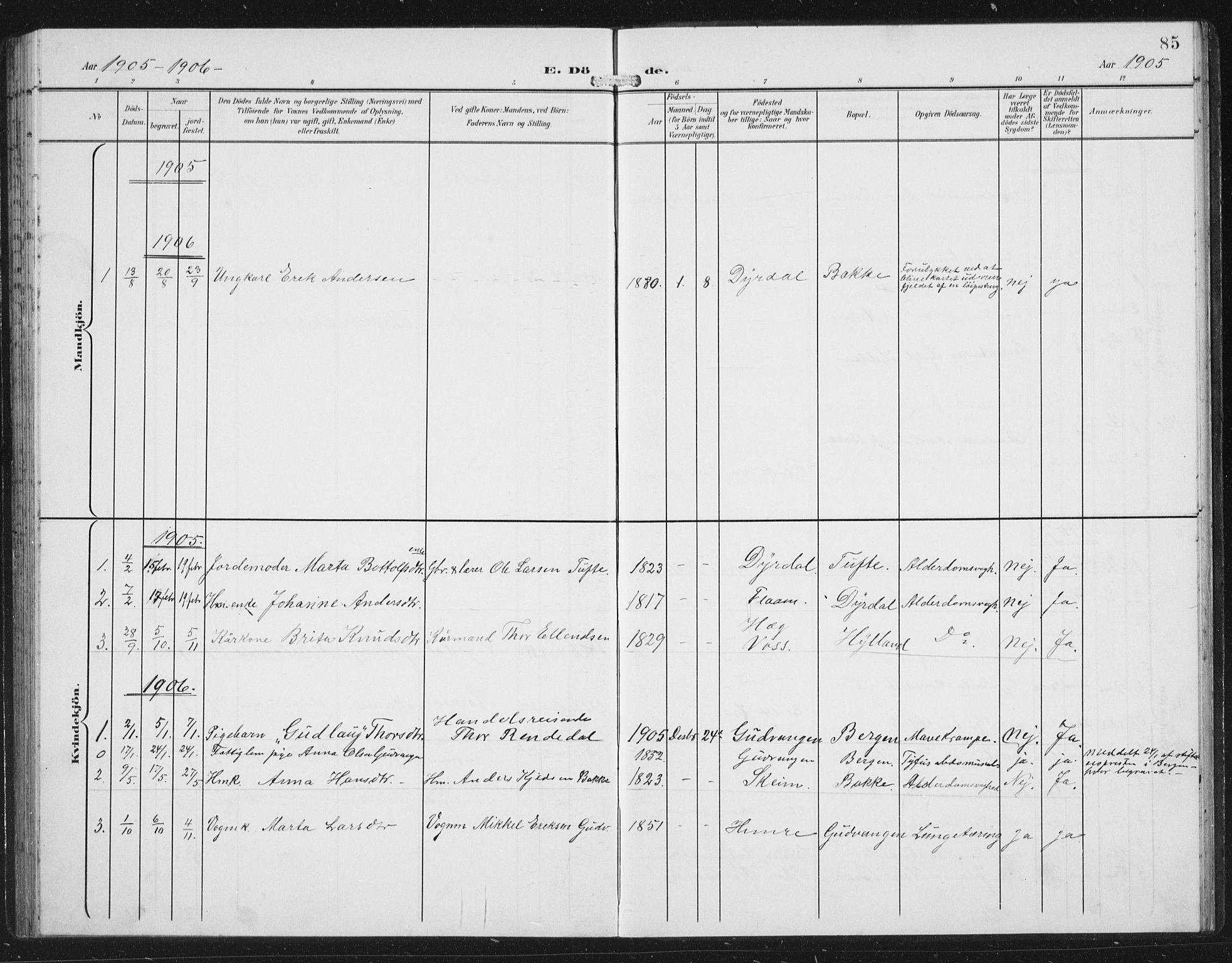 Aurland sokneprestembete, SAB/A-99937/H/Hb/Hbc/L0003: Klokkerbok nr. C 3, 1901-1933, s. 85