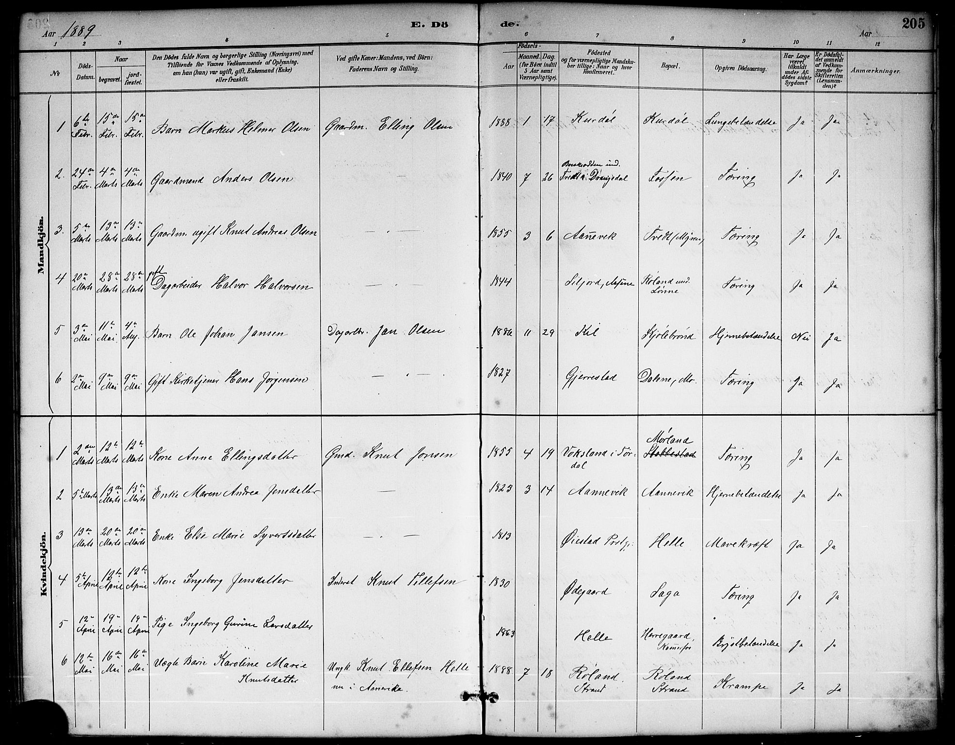 Sannidal kirkebøker, AV/SAKO-A-296/G/Ga/L0003: Klokkerbok nr. 3, 1887-1922, s. 205