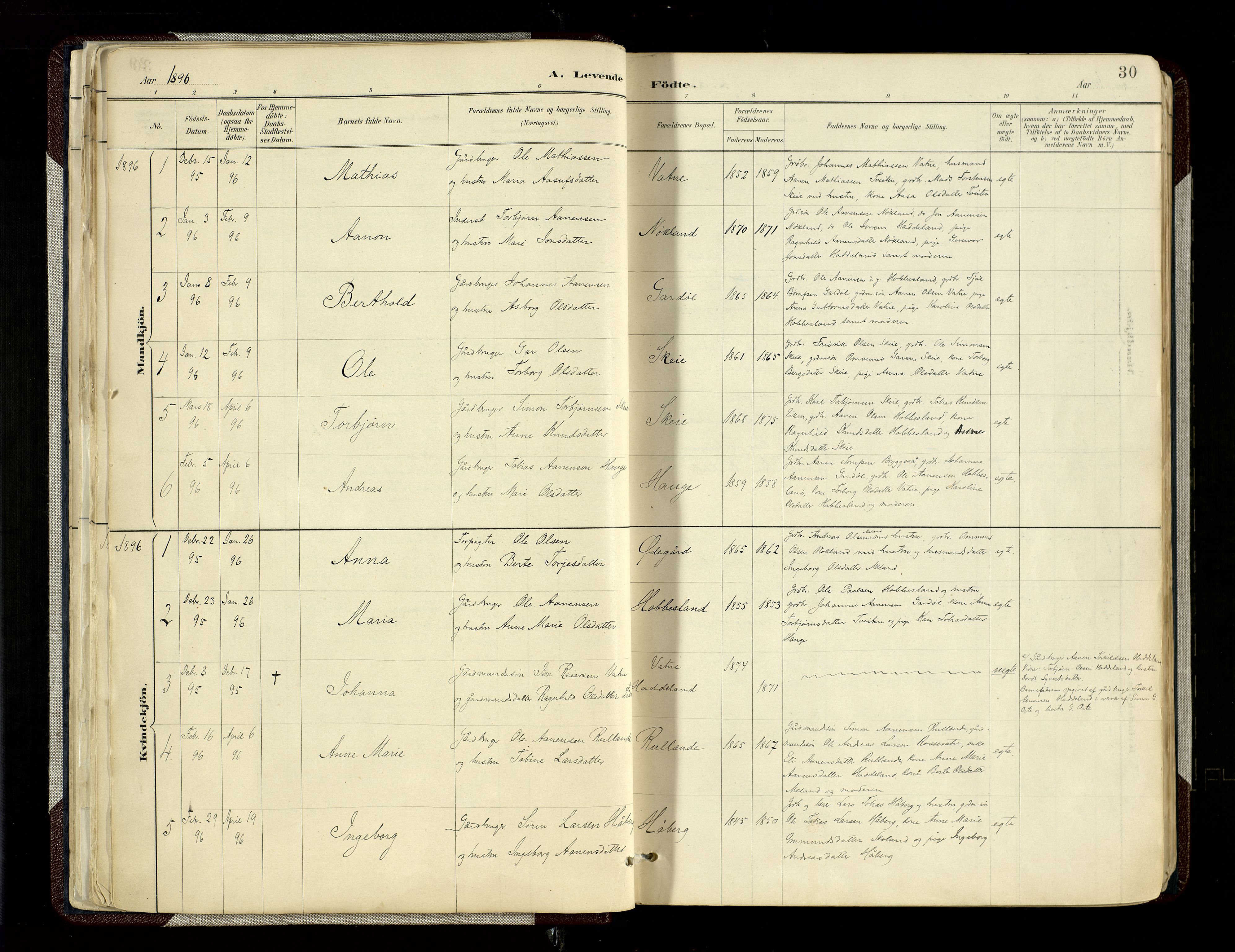 Hægebostad sokneprestkontor, AV/SAK-1111-0024/F/Fa/Fab/L0004: Ministerialbok nr. A 4, 1887-1929, s. 30