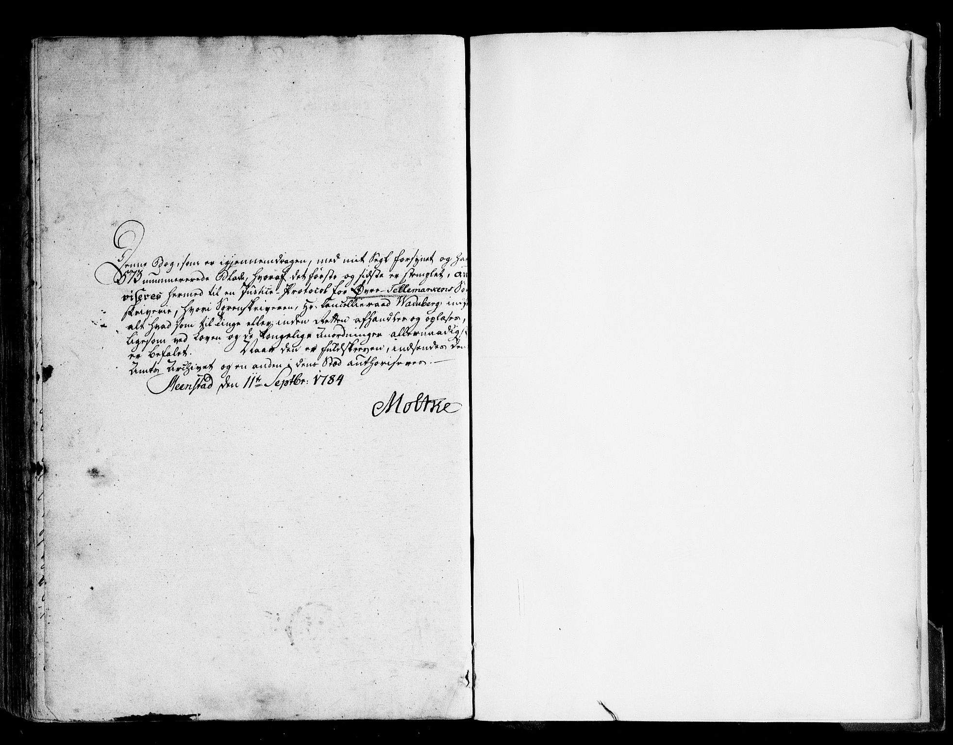 Vest-Telemark sorenskriveri, SAKO/A-134/F/Fa/L0039: Tingbok, 1784-1789