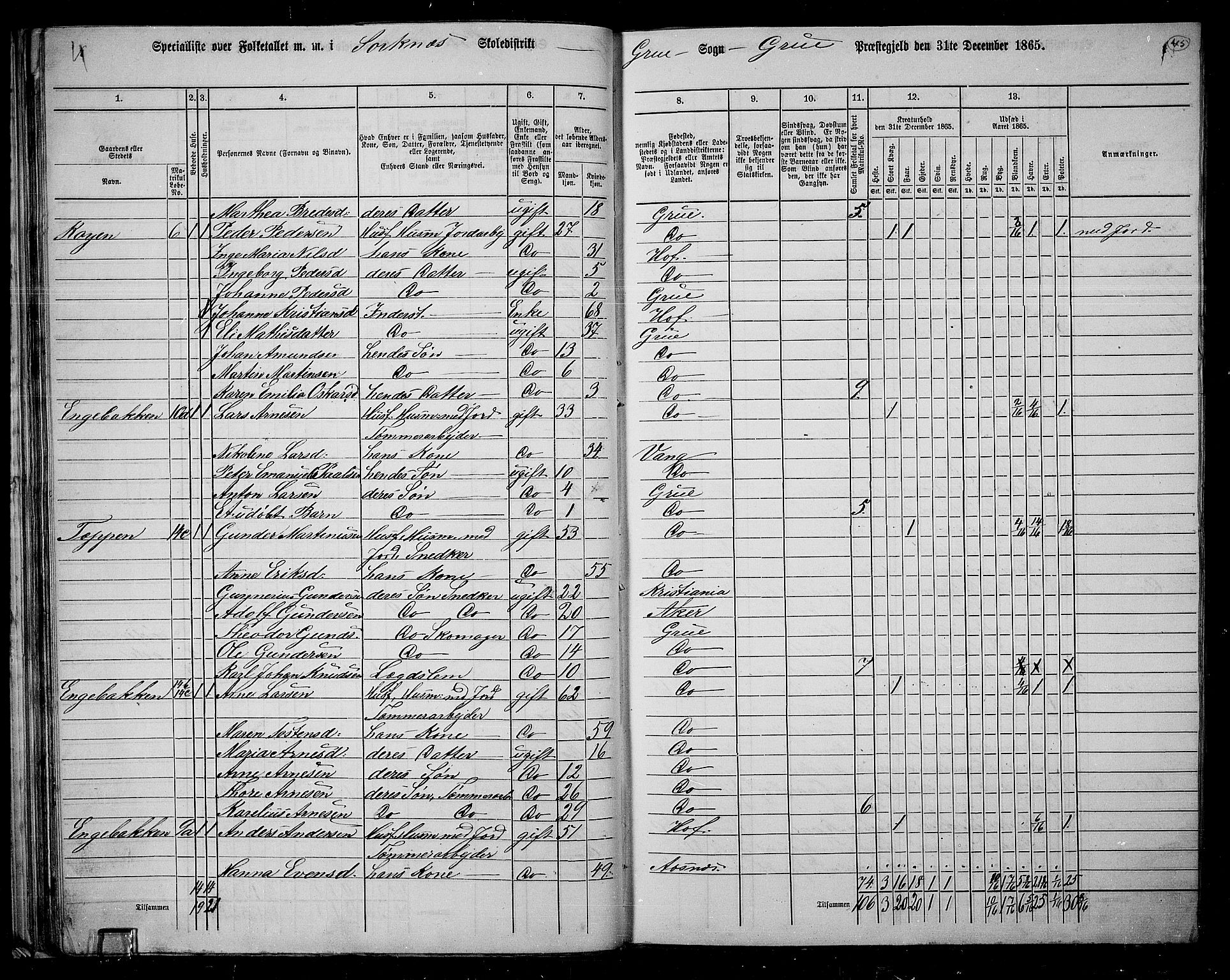 RA, Folketelling 1865 for 0423P Grue prestegjeld, 1865, s. 44