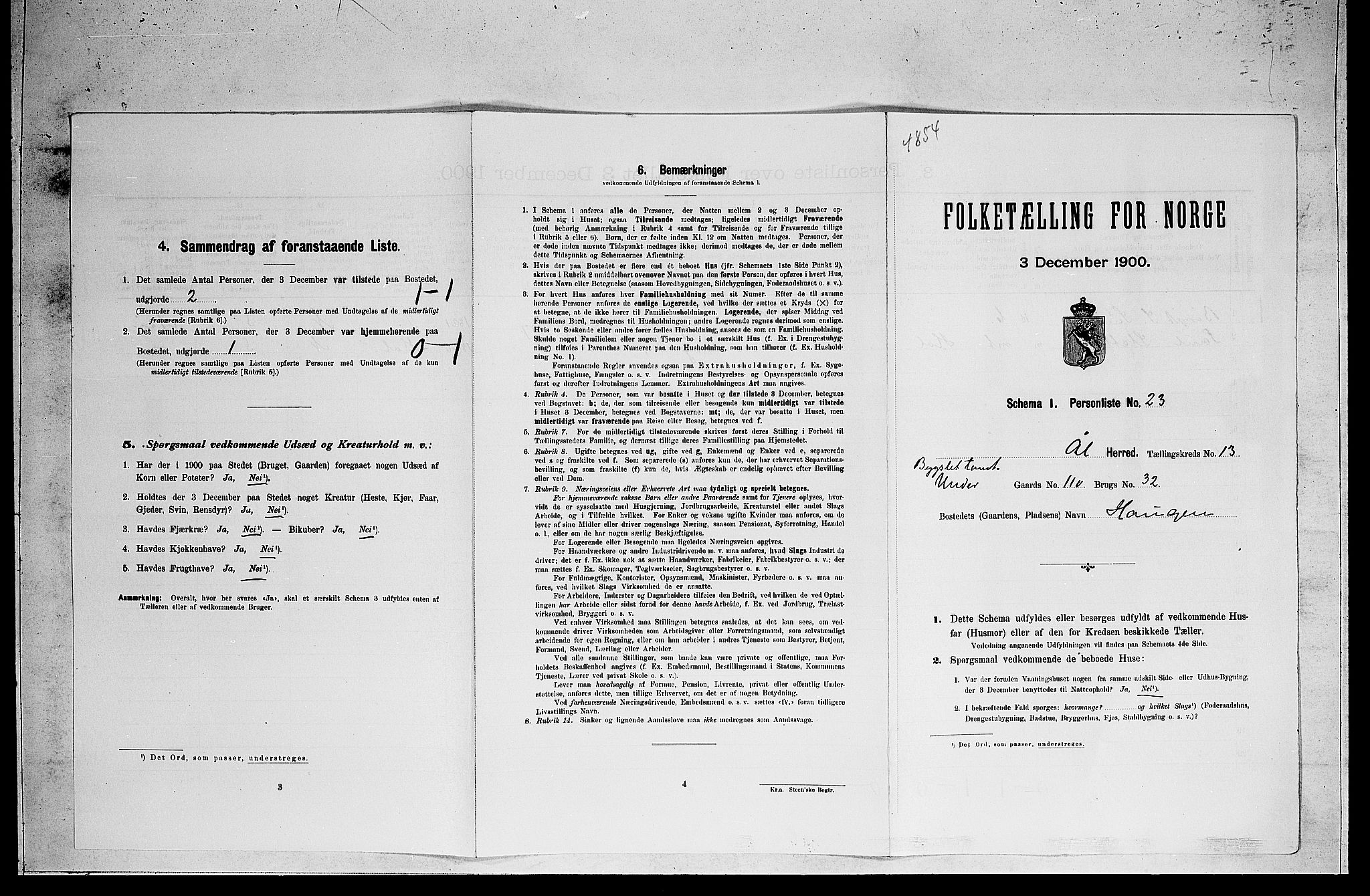 RA, Folketelling 1900 for 0619 Ål herred, 1900, s. 1046