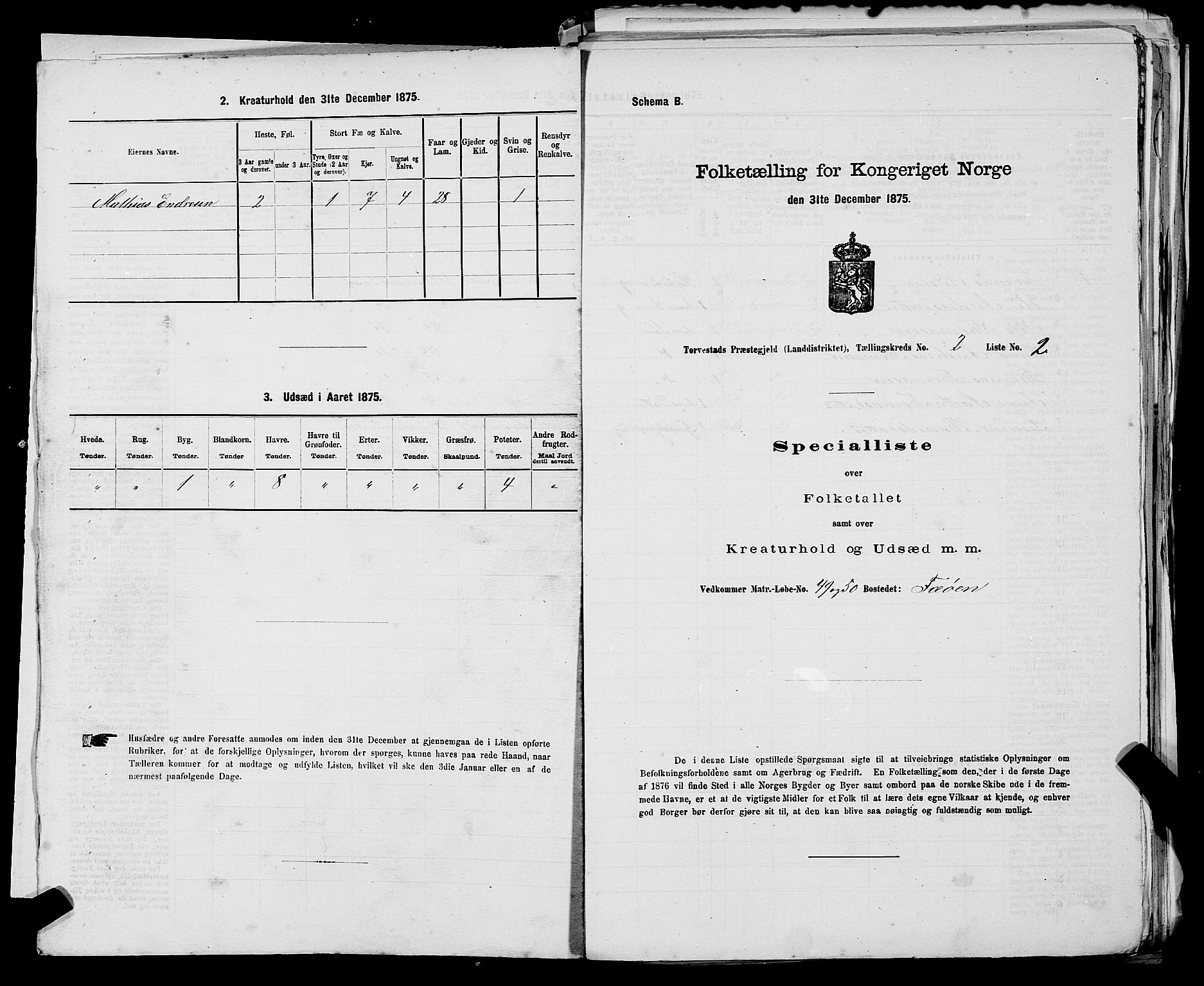 SAST, Folketelling 1875 for 1152L Torvastad prestegjeld, Torvastad sokn, Skåre sokn og Utsira sokn, 1875, s. 203