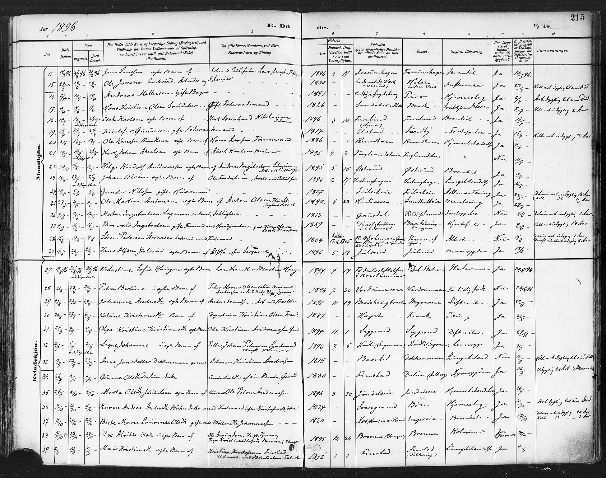 Eidsvoll prestekontor Kirkebøker, AV/SAO-A-10888/F/Fa/L0004: Ministerialbok nr. I 4, 1891-1900, s. 215