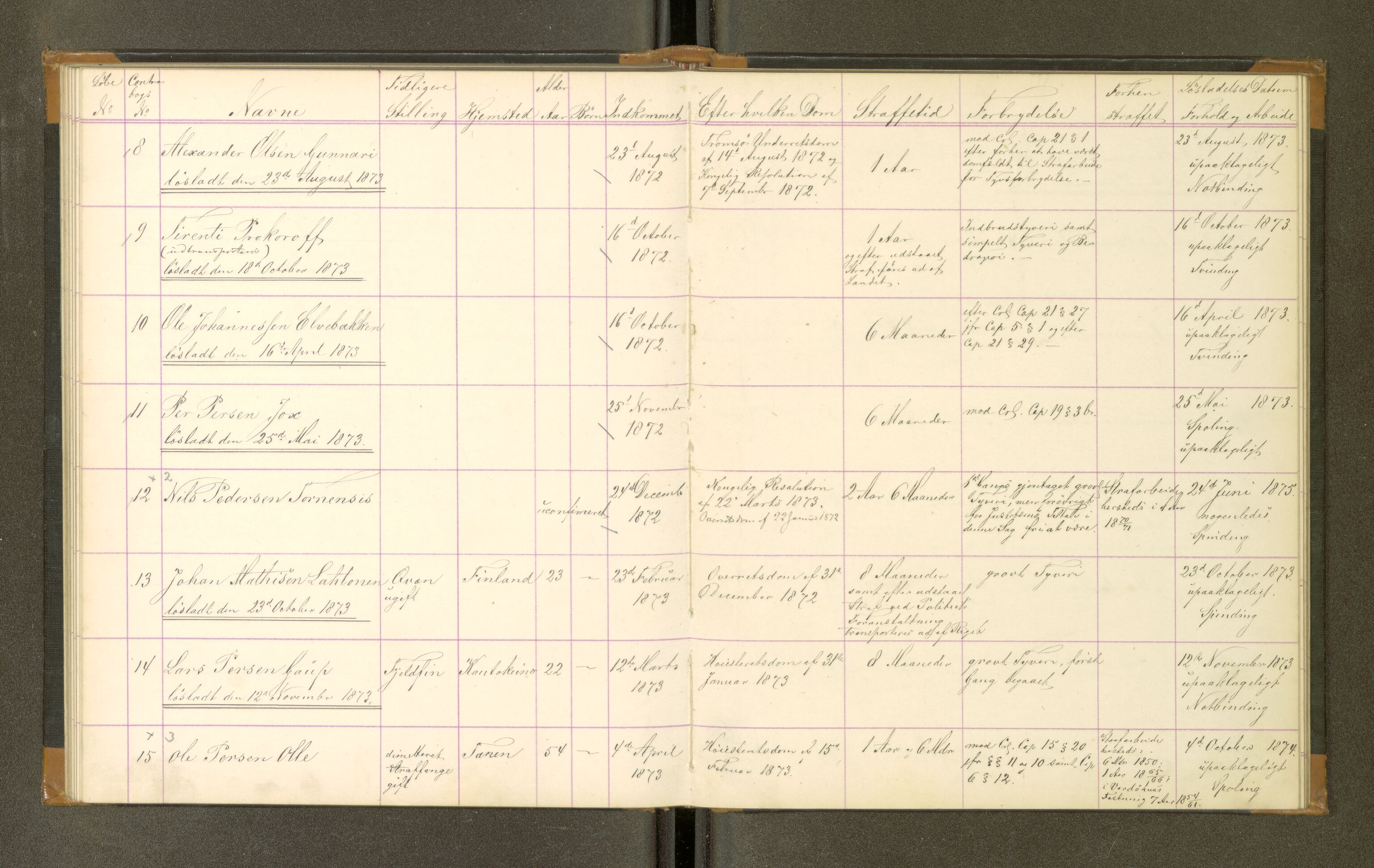 Trondheim tukthus, SAT/A-4619/05/65/L0029: 65.29 Fangeprotokoll, 1873