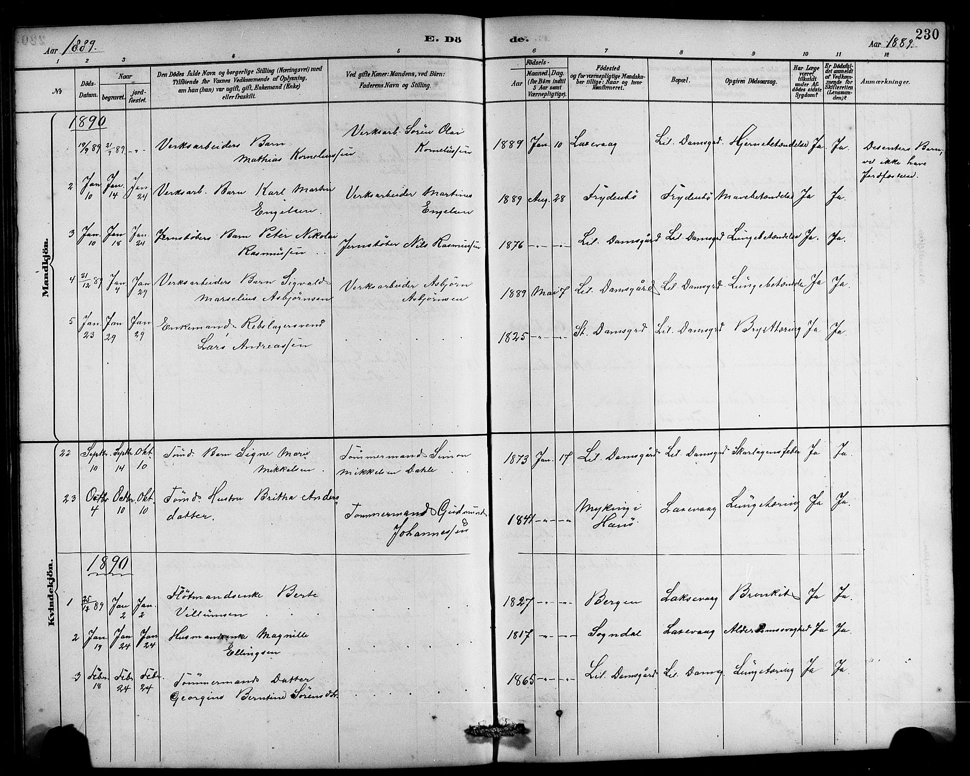 Laksevåg Sokneprestembete, AV/SAB-A-76501/H/Ha/Hab/Haba/L0003: Klokkerbok nr. A 3, 1887-1899, s. 230