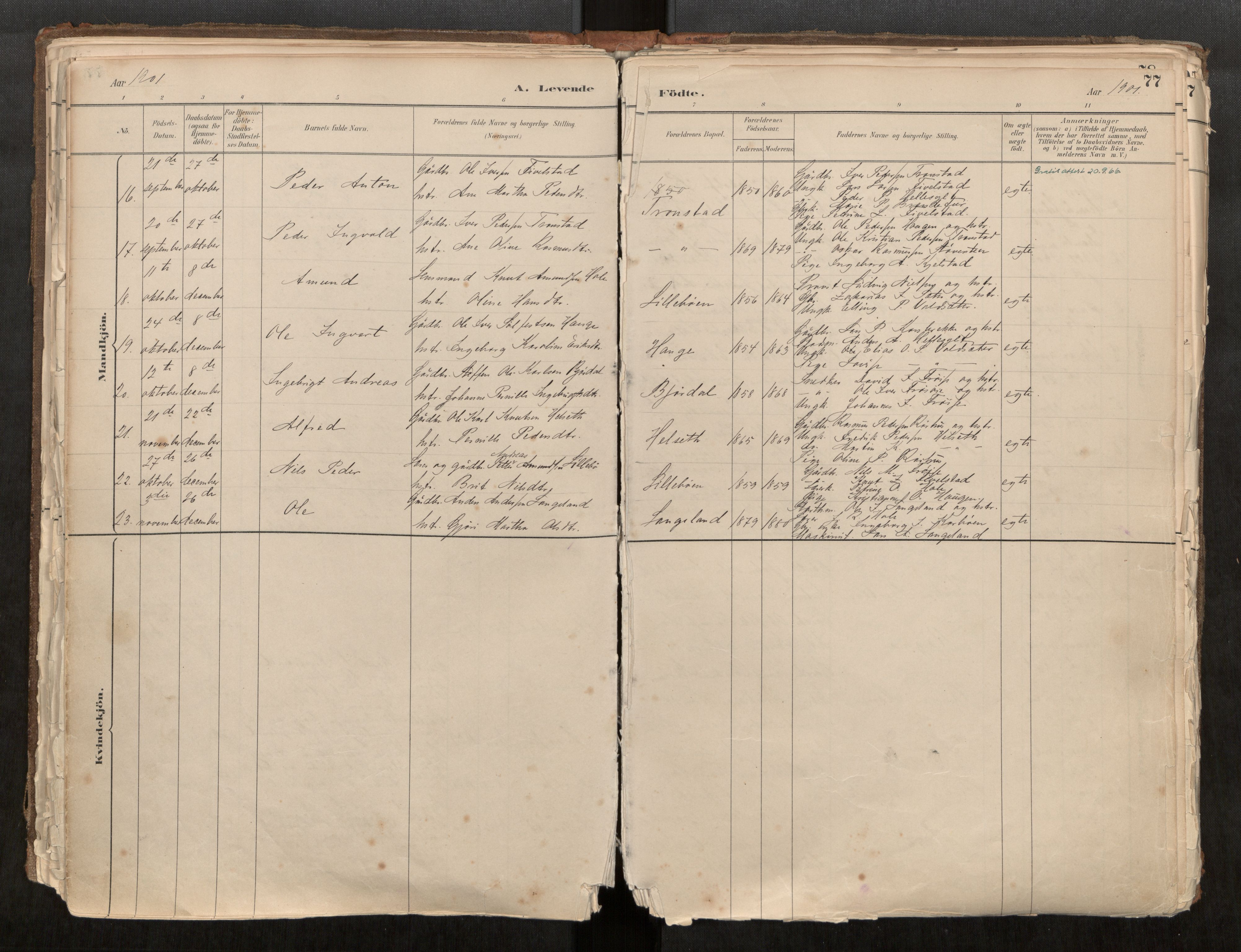 Sunnylven sokneprestkontor, AV/SAT-A-1007/H/Ha/Haa/L0002: Ministerialbok nr. 517A09, 1882-1939, s. 77
