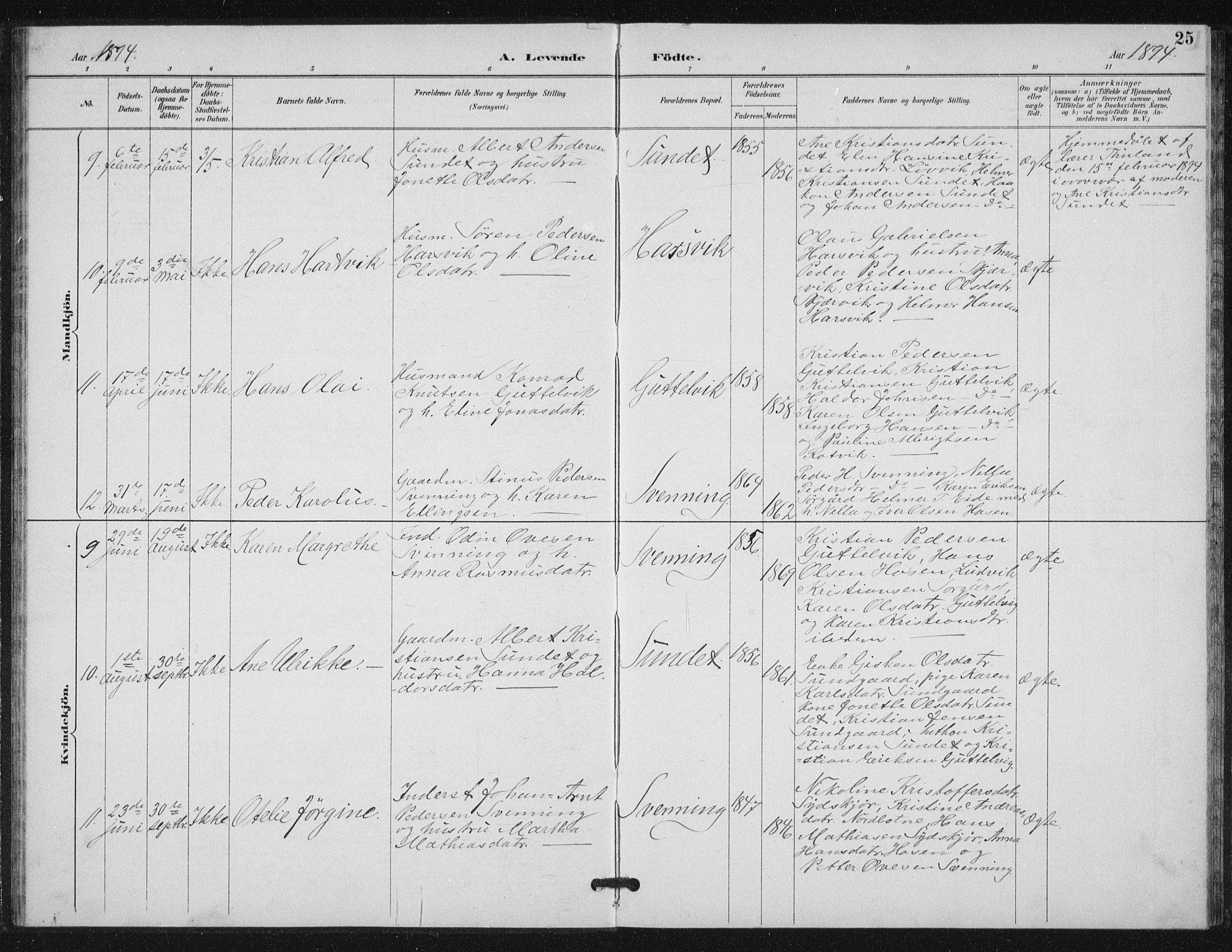 Ministerialprotokoller, klokkerbøker og fødselsregistre - Sør-Trøndelag, AV/SAT-A-1456/656/L0698: Klokkerbok nr. 656C04, 1890-1904, s. 25