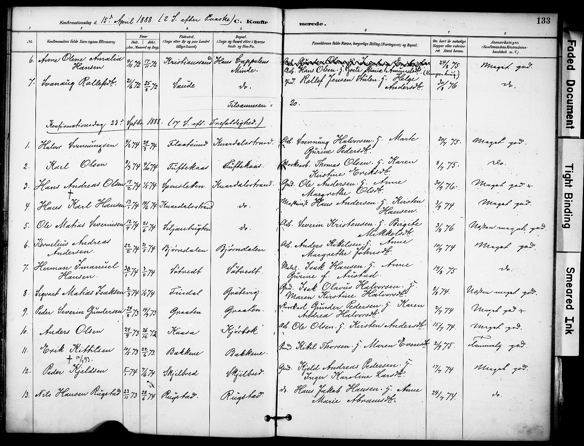 Solum kirkebøker, AV/SAKO-A-306/F/Fa/L0010: Ministerialbok nr. I 10, 1888-1898, s. 133