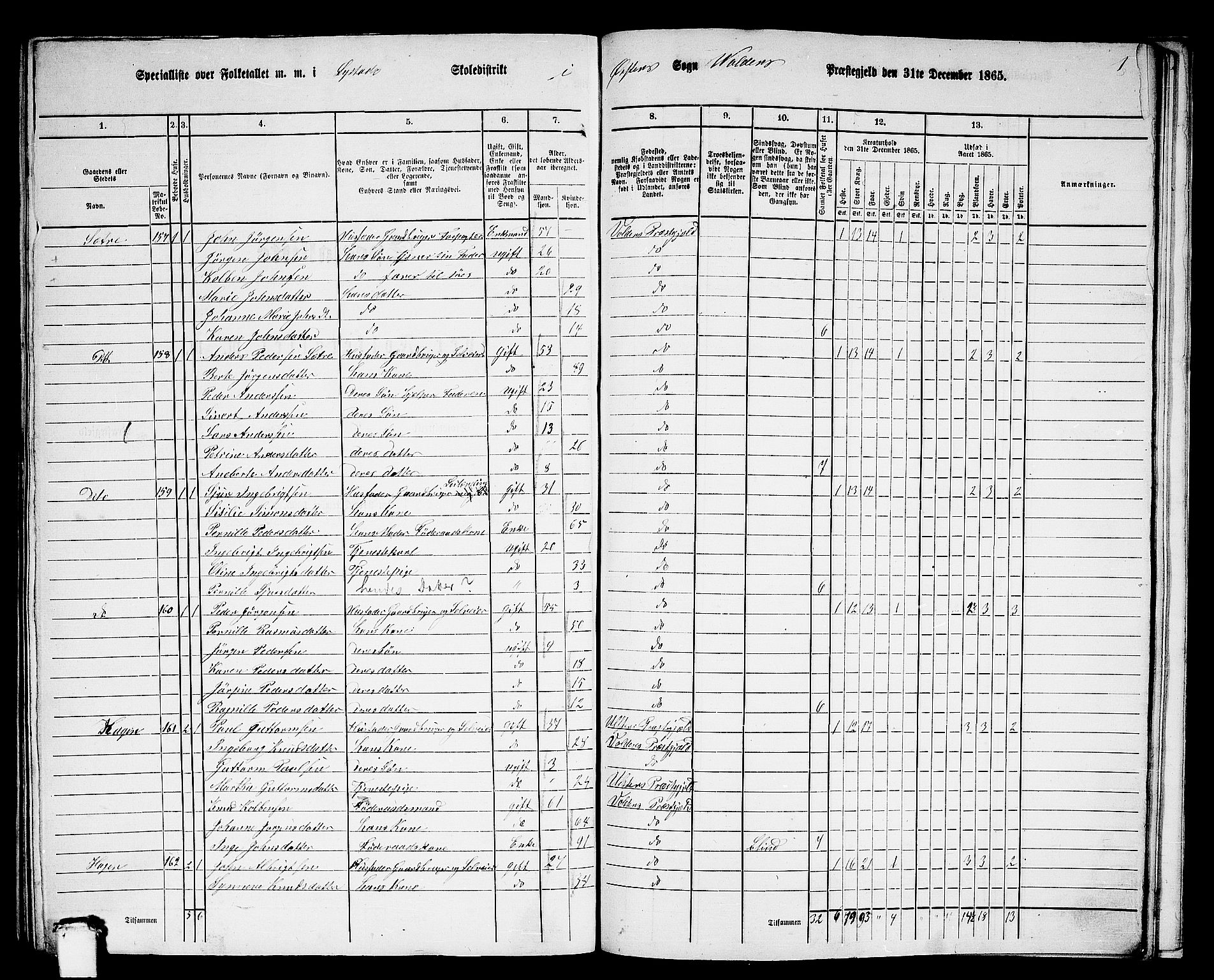 RA, Folketelling 1865 for 1519P Volda prestegjeld, 1865, s. 162