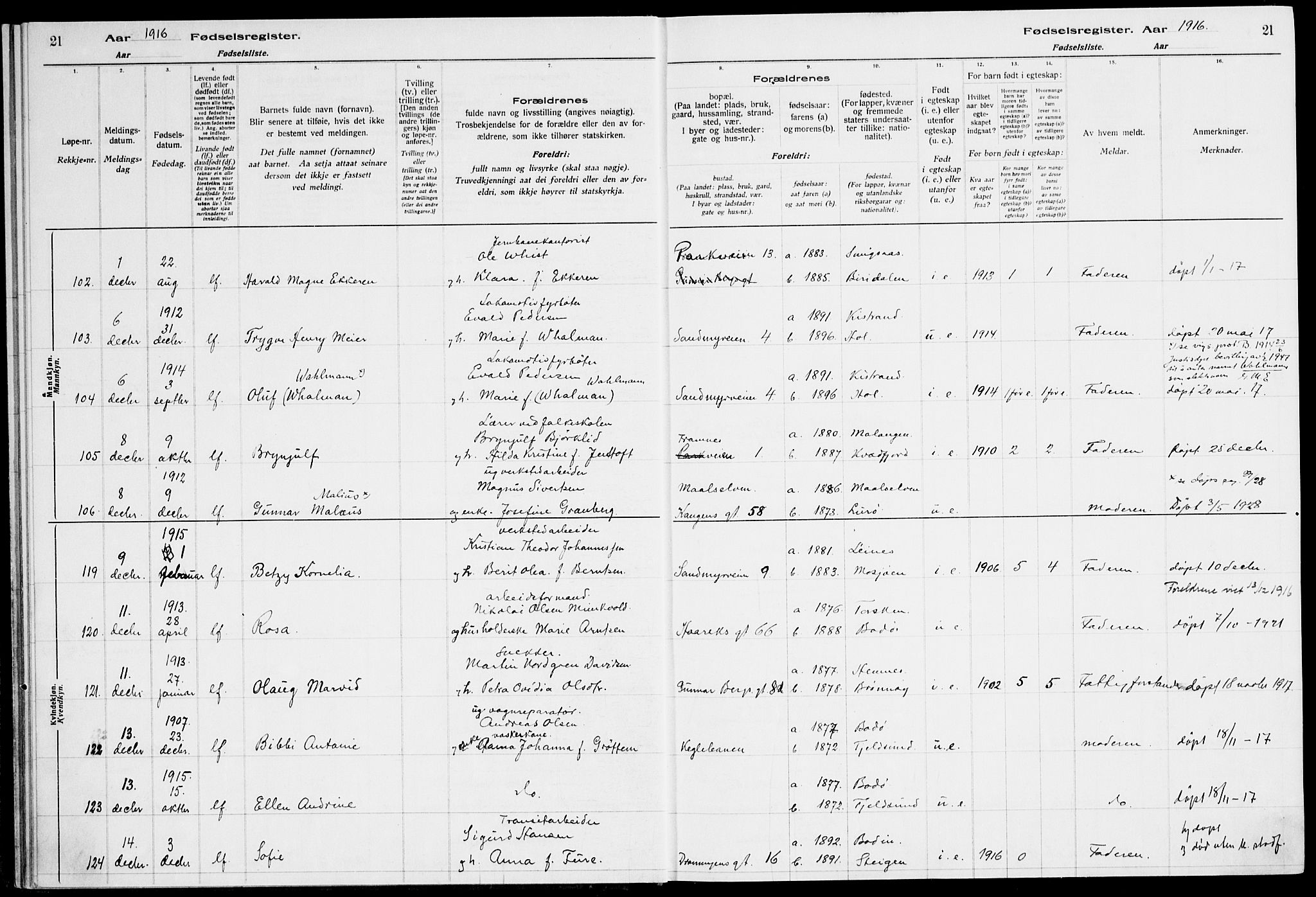 Ministerialprotokoller, klokkerbøker og fødselsregistre - Nordland, SAT/A-1459/871/L1013: Fødselsregister nr. 871.II.4.1, 1916-1924, s. 21