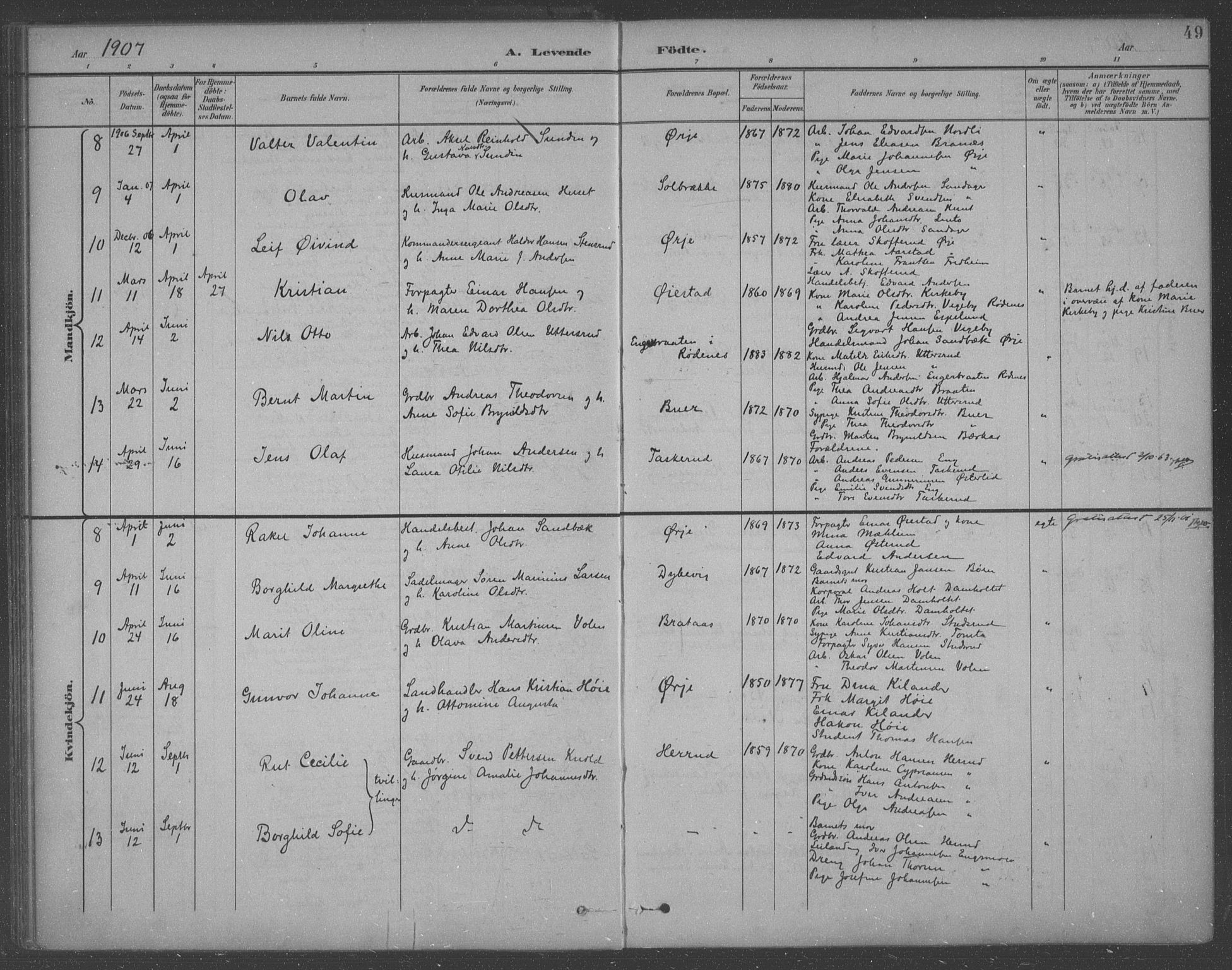 Aremark prestekontor Kirkebøker, AV/SAO-A-10899/F/Fb/L0005: Ministerialbok nr. II 5, 1895-1919, s. 49