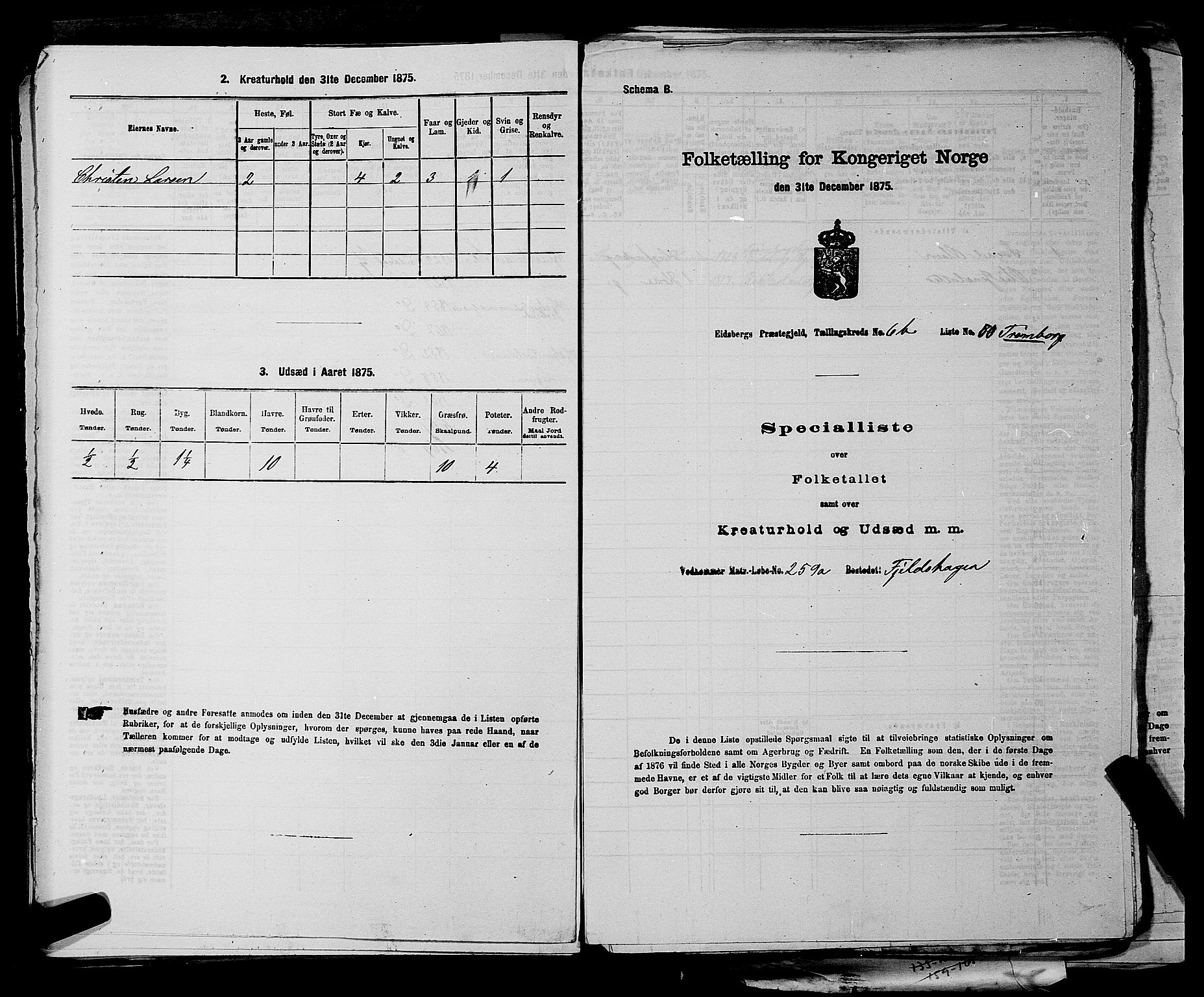 RA, Folketelling 1875 for 0125P Eidsberg prestegjeld, 1875, s. 1311