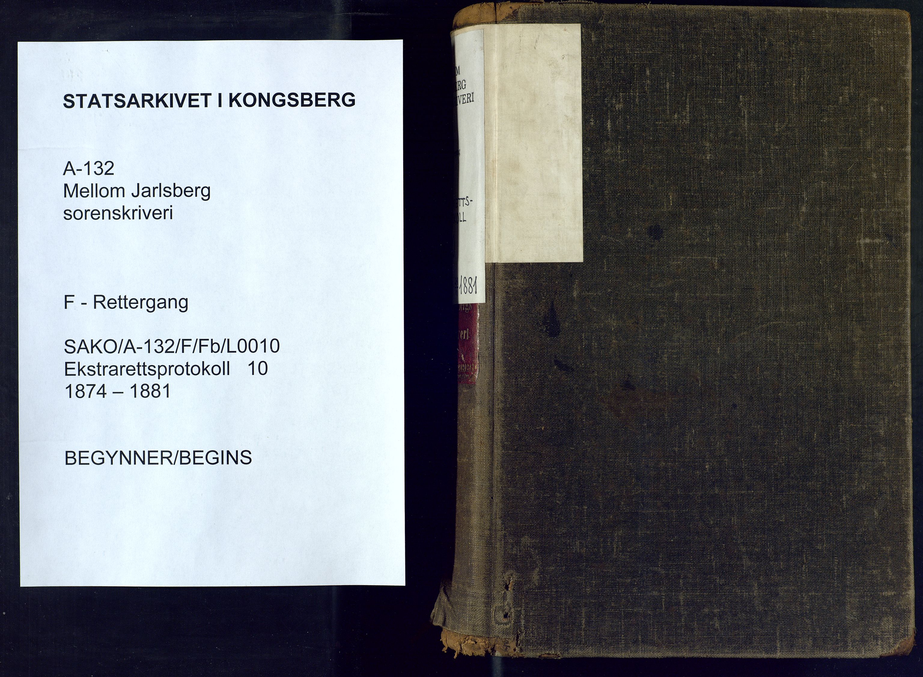 Mellom Jarlsberg sorenskriveri, SAKO/A-132/F/Fb/L0010: Ekstrarettsprotokoll, 1874-1881