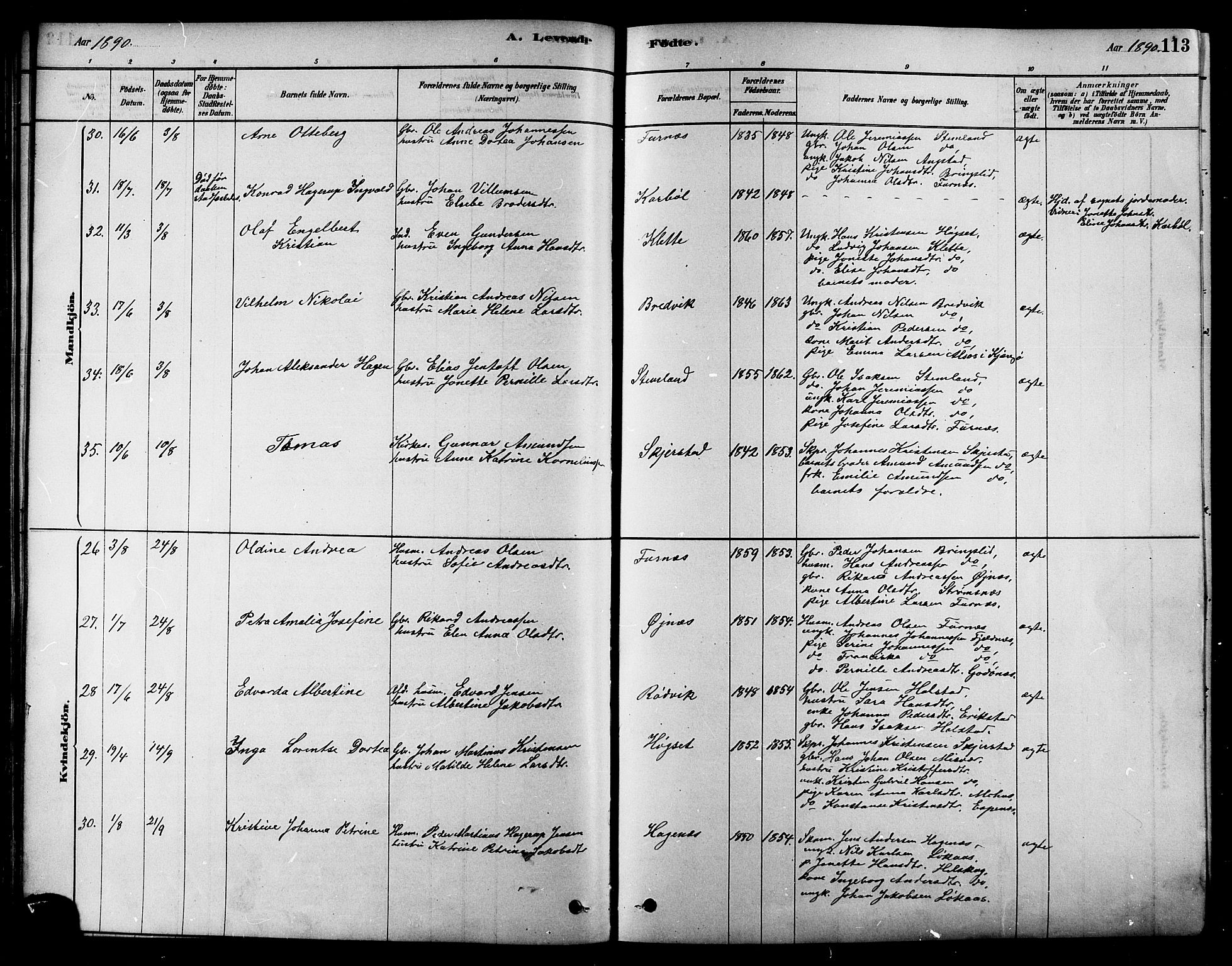 Ministerialprotokoller, klokkerbøker og fødselsregistre - Nordland, SAT/A-1459/852/L0740: Ministerialbok nr. 852A10, 1878-1894, s. 113