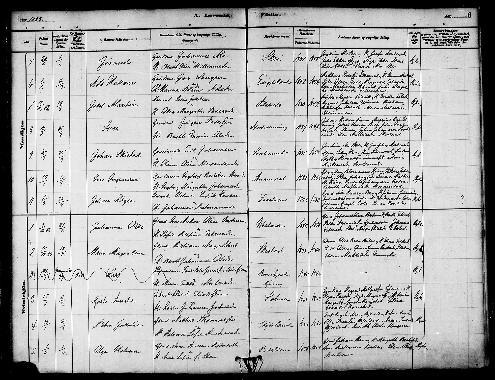 Ministerialprotokoller, klokkerbøker og fødselsregistre - Nord-Trøndelag, AV/SAT-A-1458/764/L0555: Ministerialbok nr. 764A10, 1881-1896, s. 6