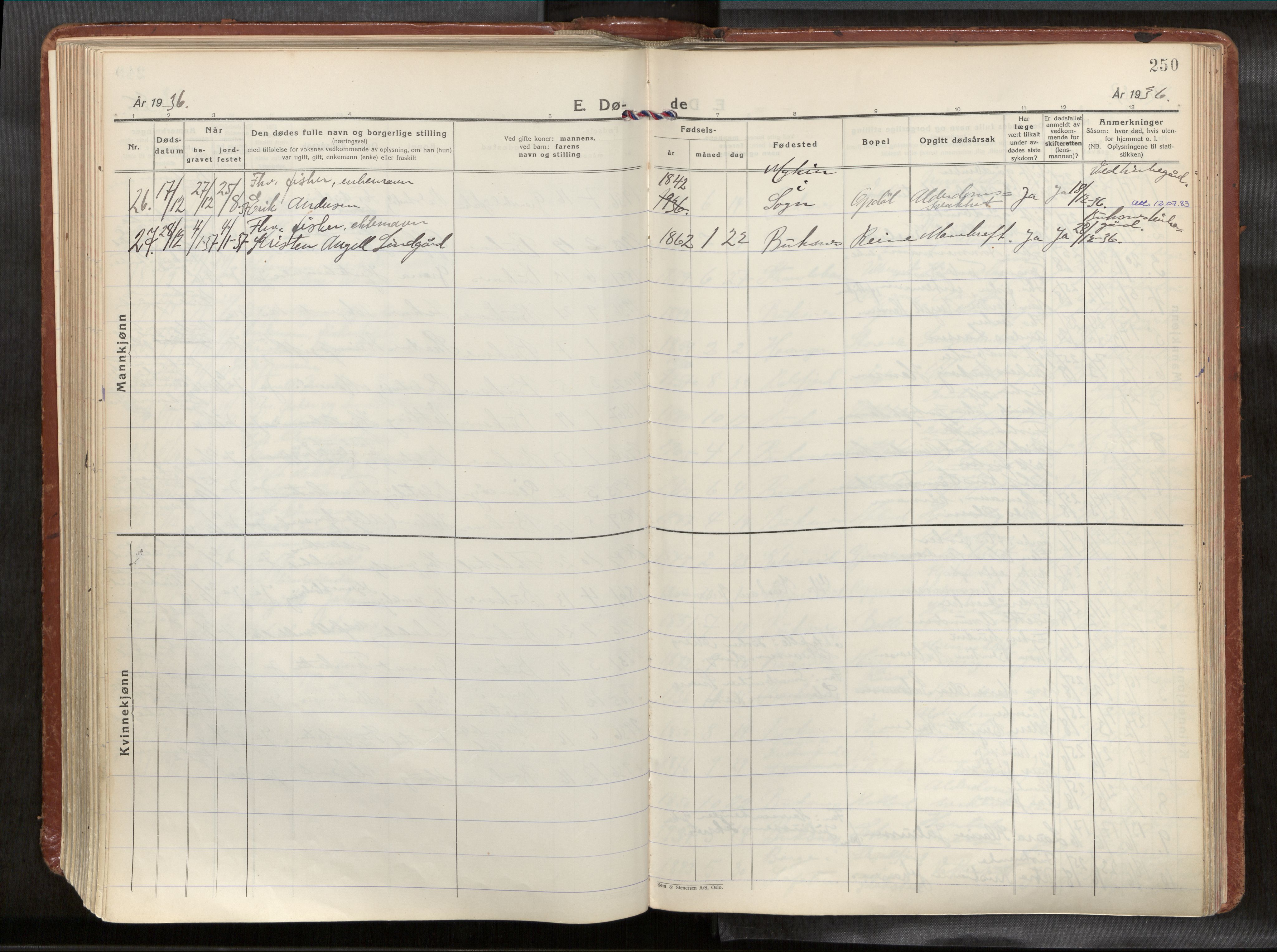 Ministerialprotokoller, klokkerbøker og fødselsregistre - Nordland, AV/SAT-A-1459/881/L1161: Ministerialbok nr. 881A14, 1932-1955, s. 250